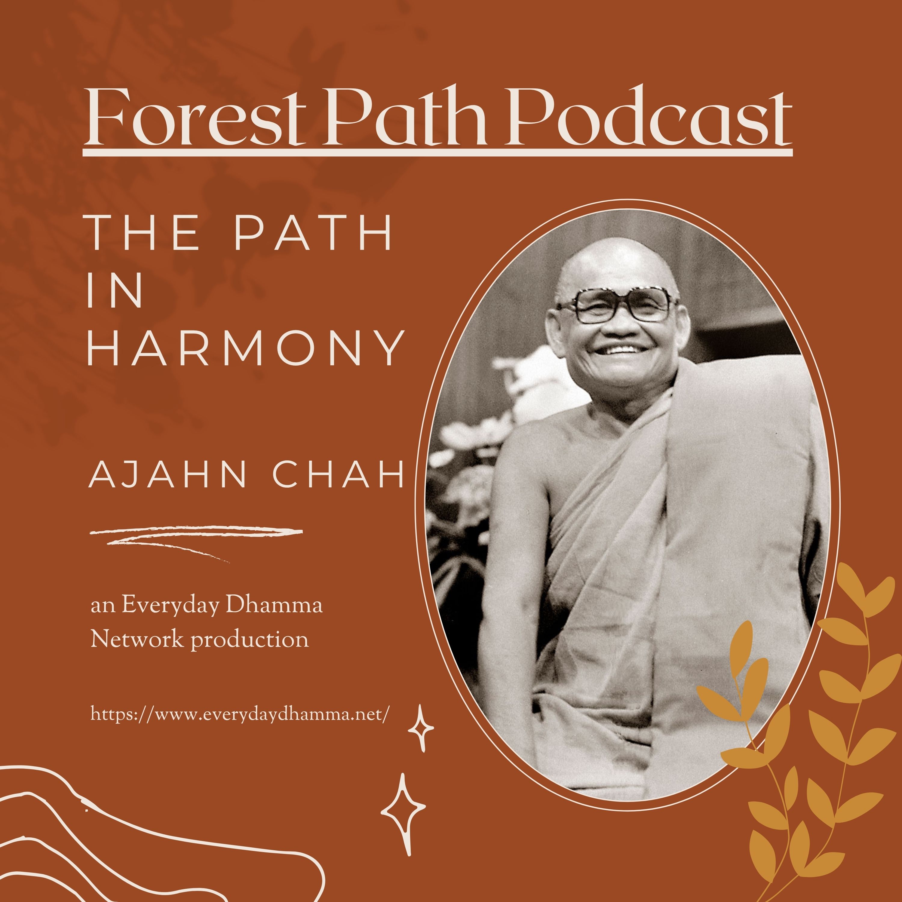 The Path In Harmony | Ajahn Chah