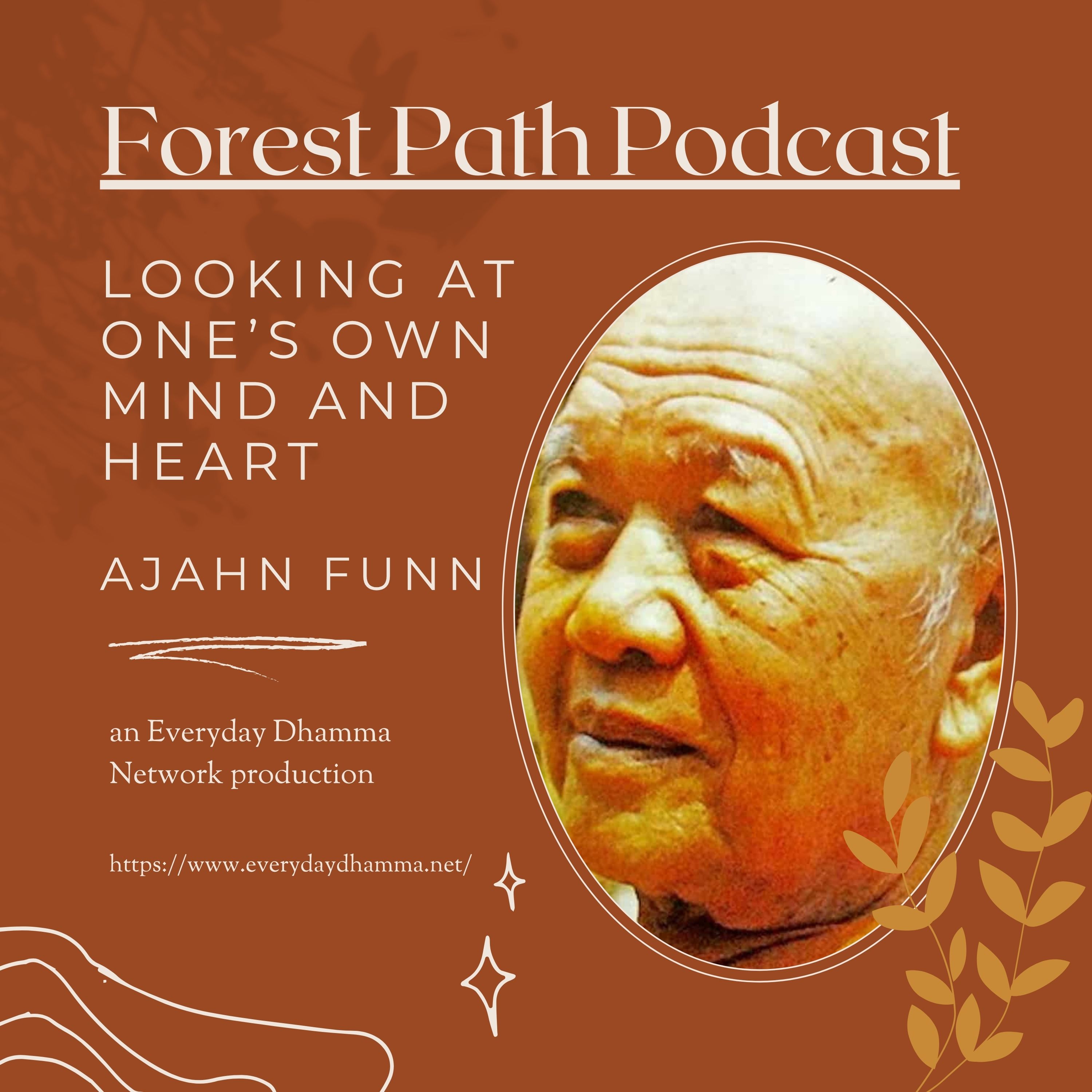 Looking At One's Own Mind and Heart | Ajahn Funn Acaro