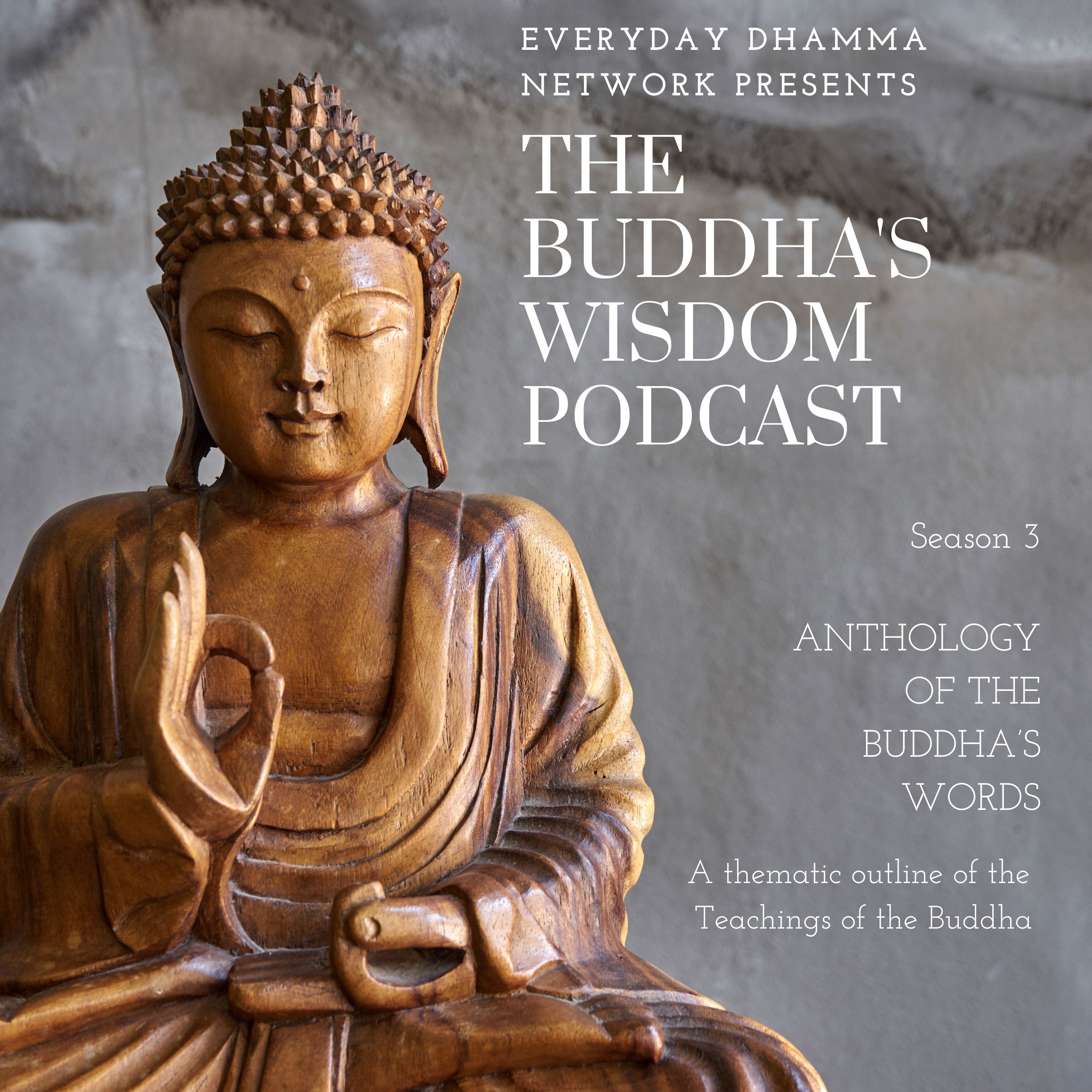 The Domain of Wisdom (part 2) - In the Buddha’s Words [S3E27]