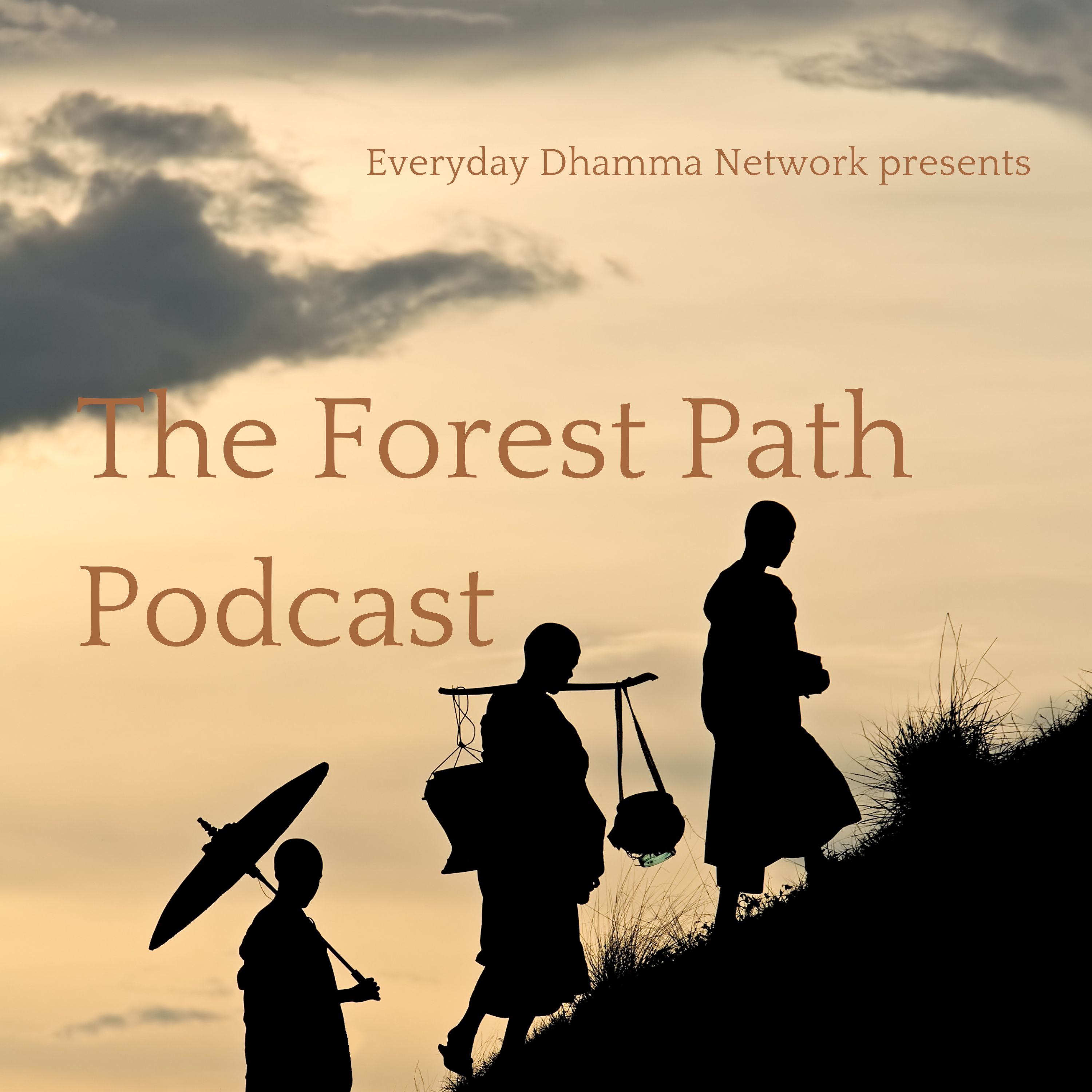 The Forest Path Podcast