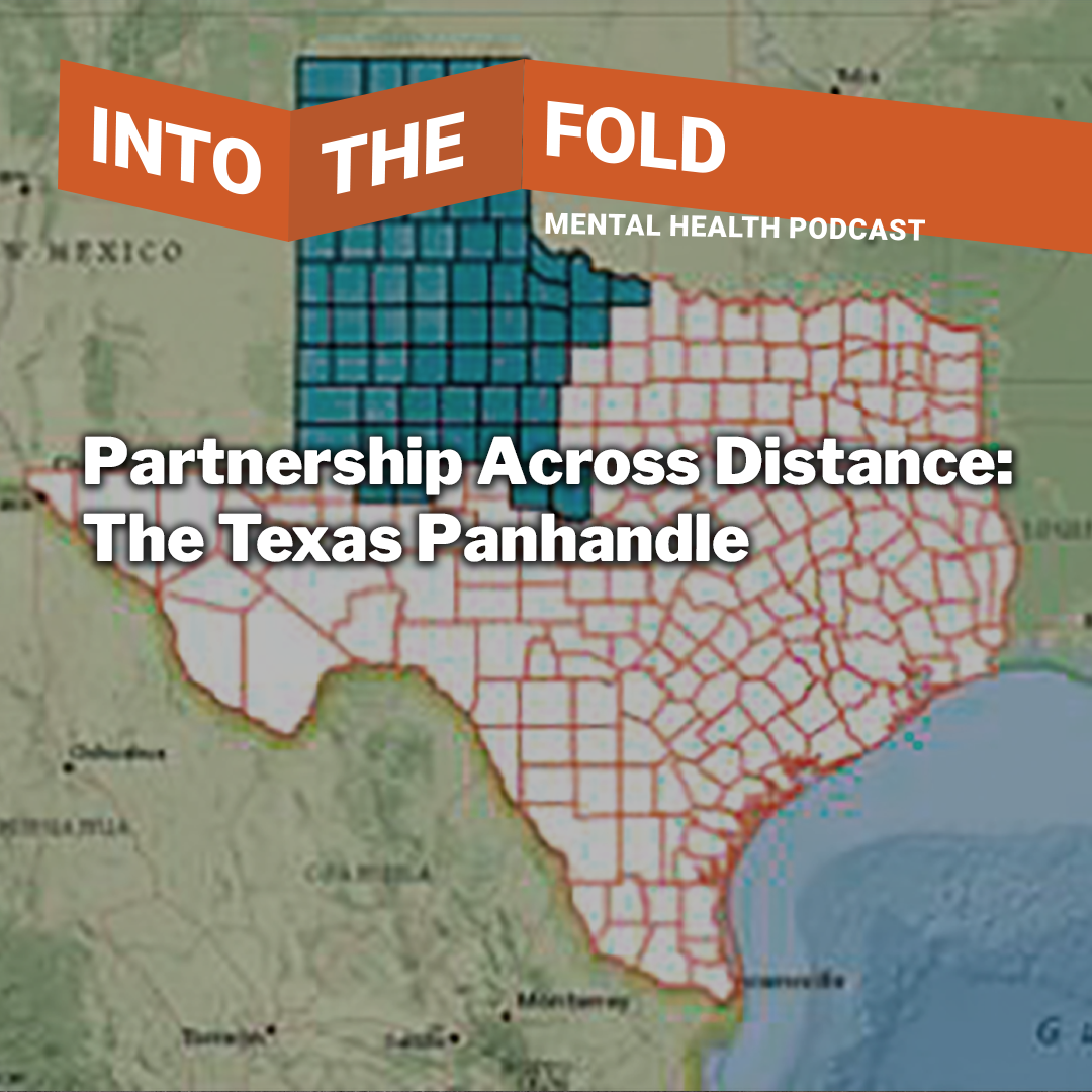 Partnership Across Distance: The Texas Panhandle