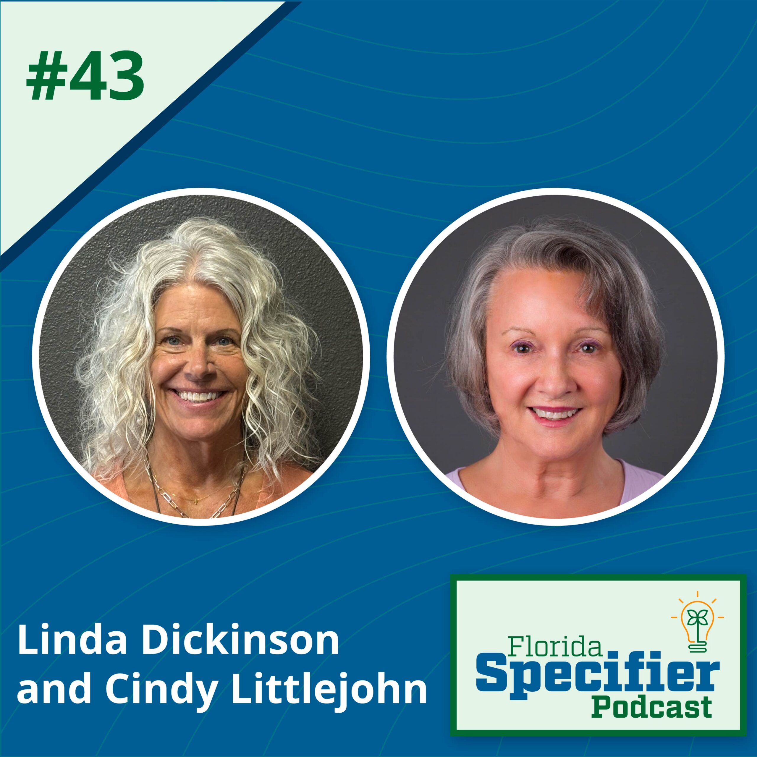 Episode 43: Linda Dickinson and Cindy Littlejohn episode artwork