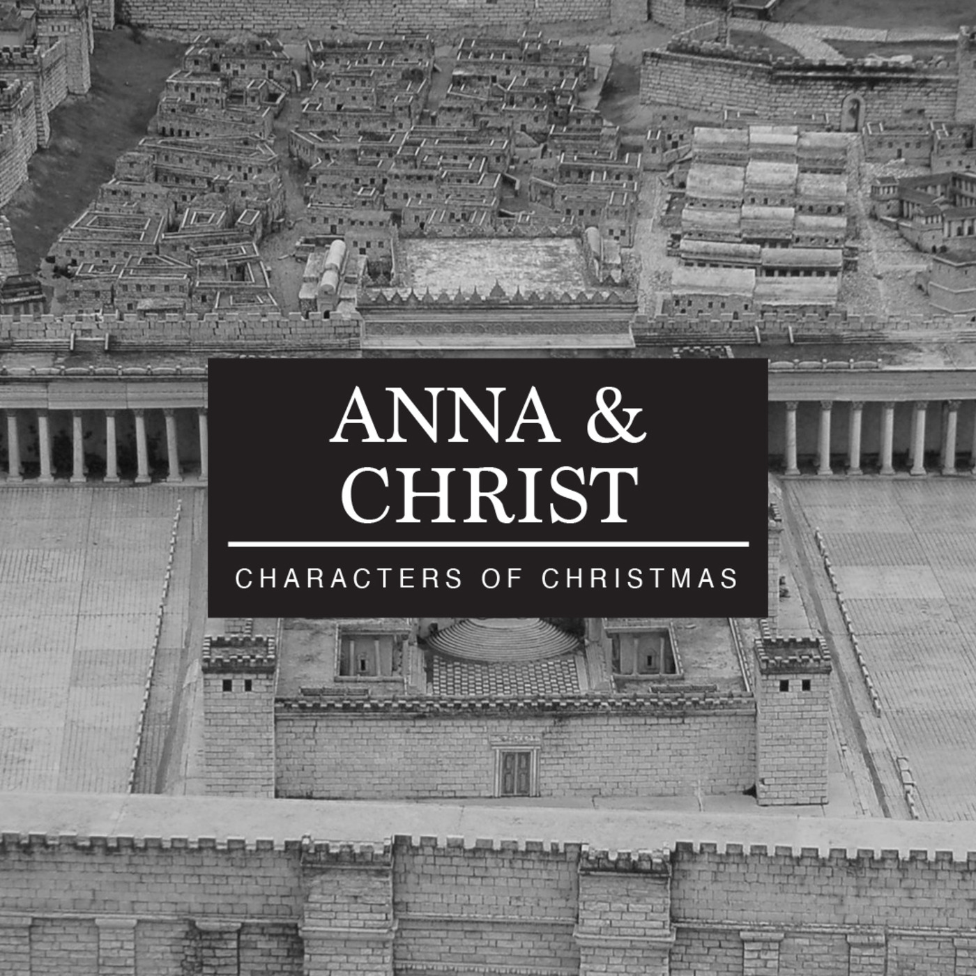 Characters of Christmas : Anna & Christ