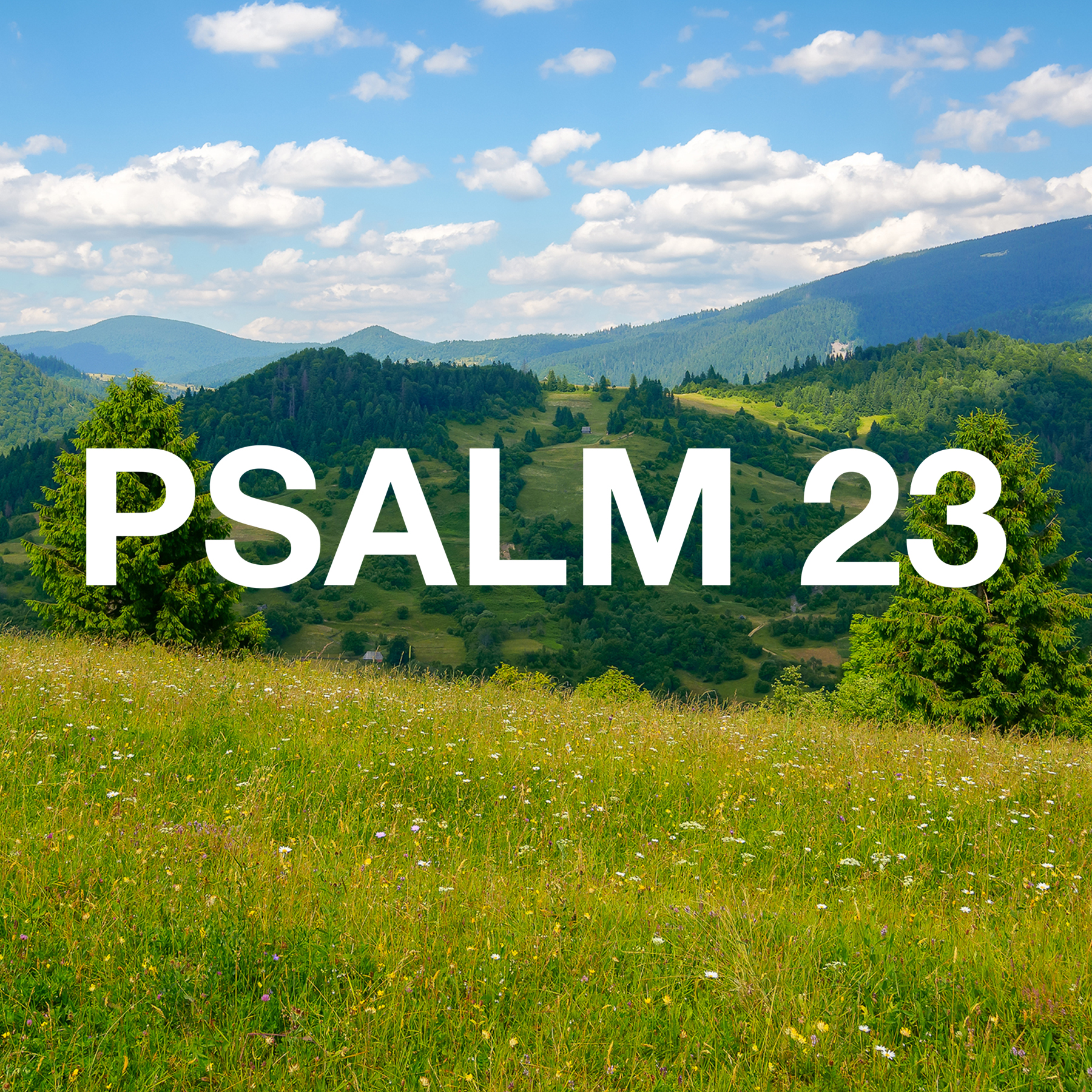 Psalm 23