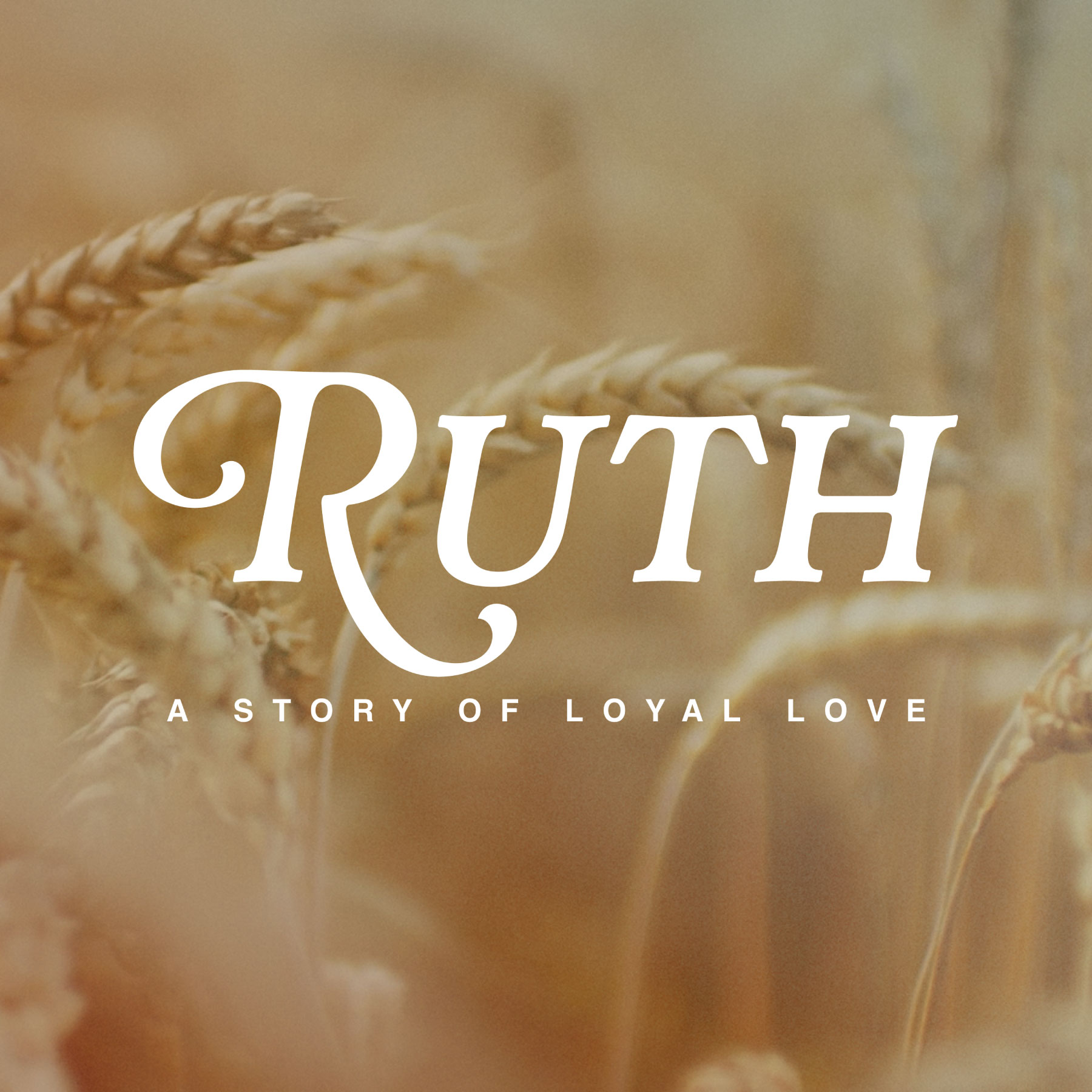 Ruth: A Story Of Loyal Love -  Courage In Crisis | Ruth 3