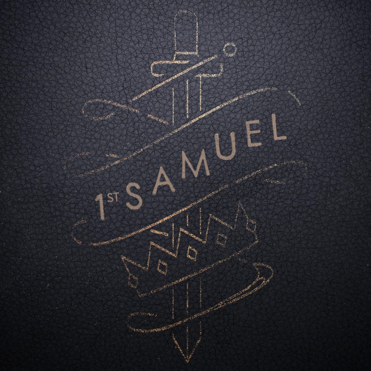 1 Samuel 30