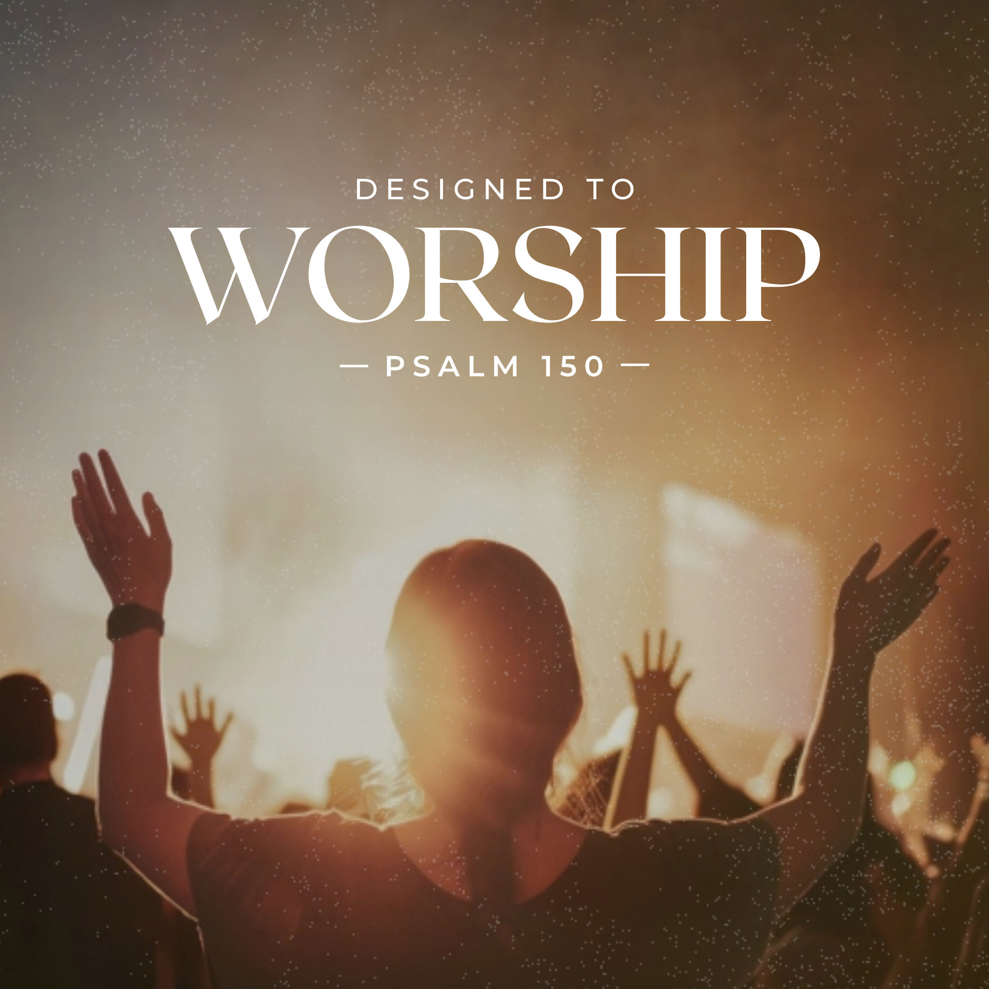 Designed To Worship