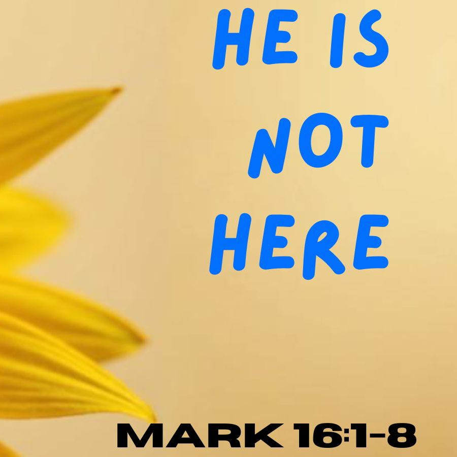 Here is Not Here episode artwork