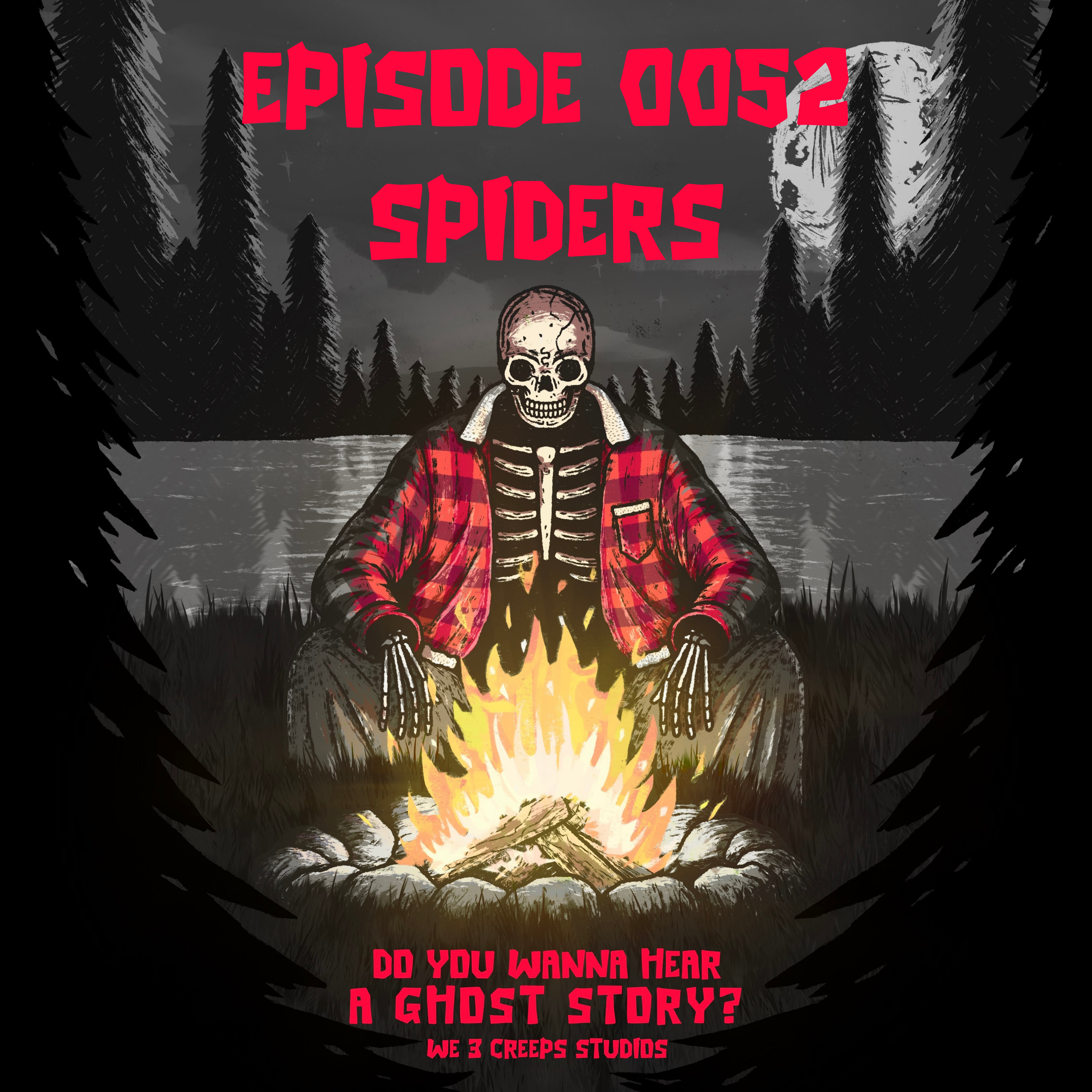 Spiders
