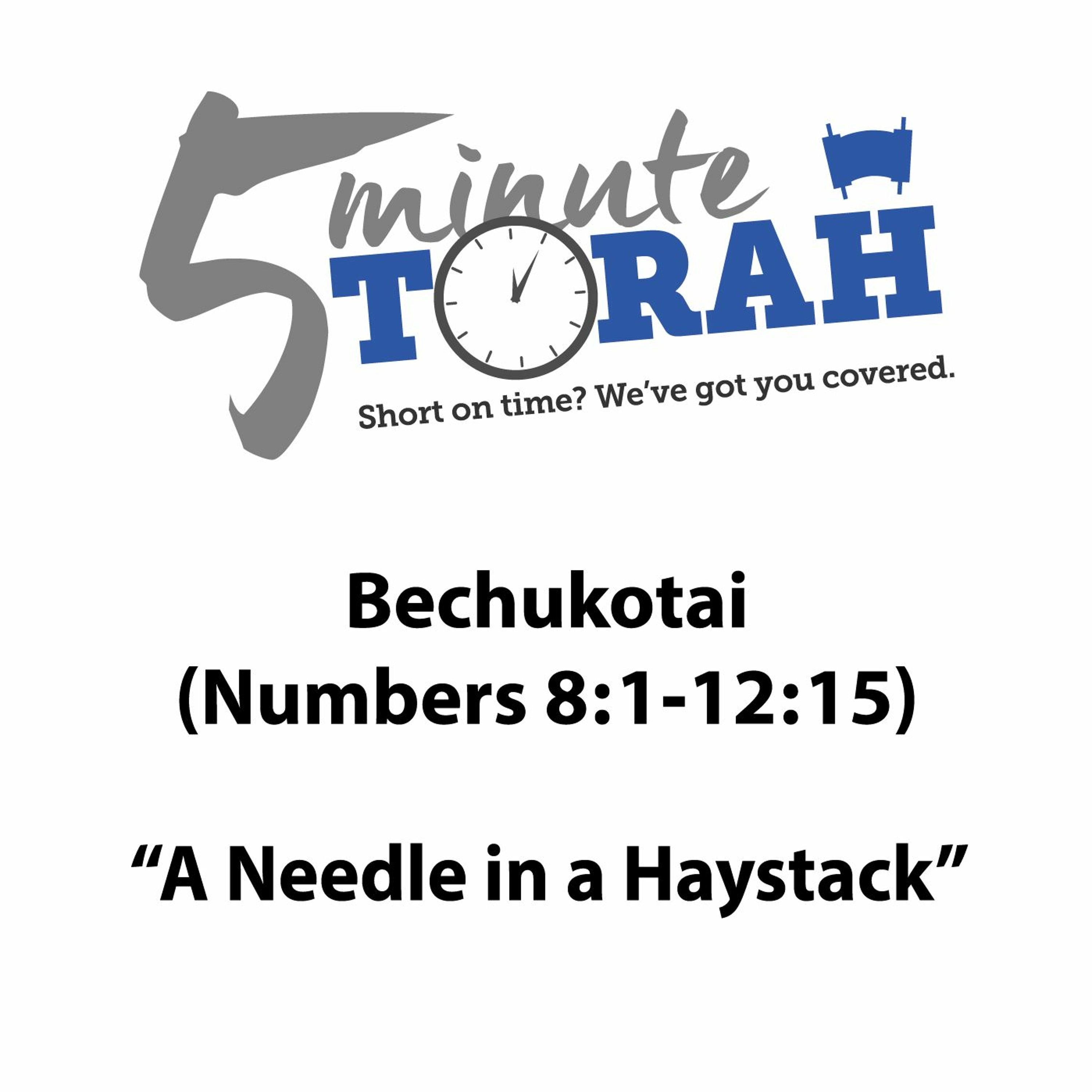 A Needle in a Haystack (Baha'alotcha)