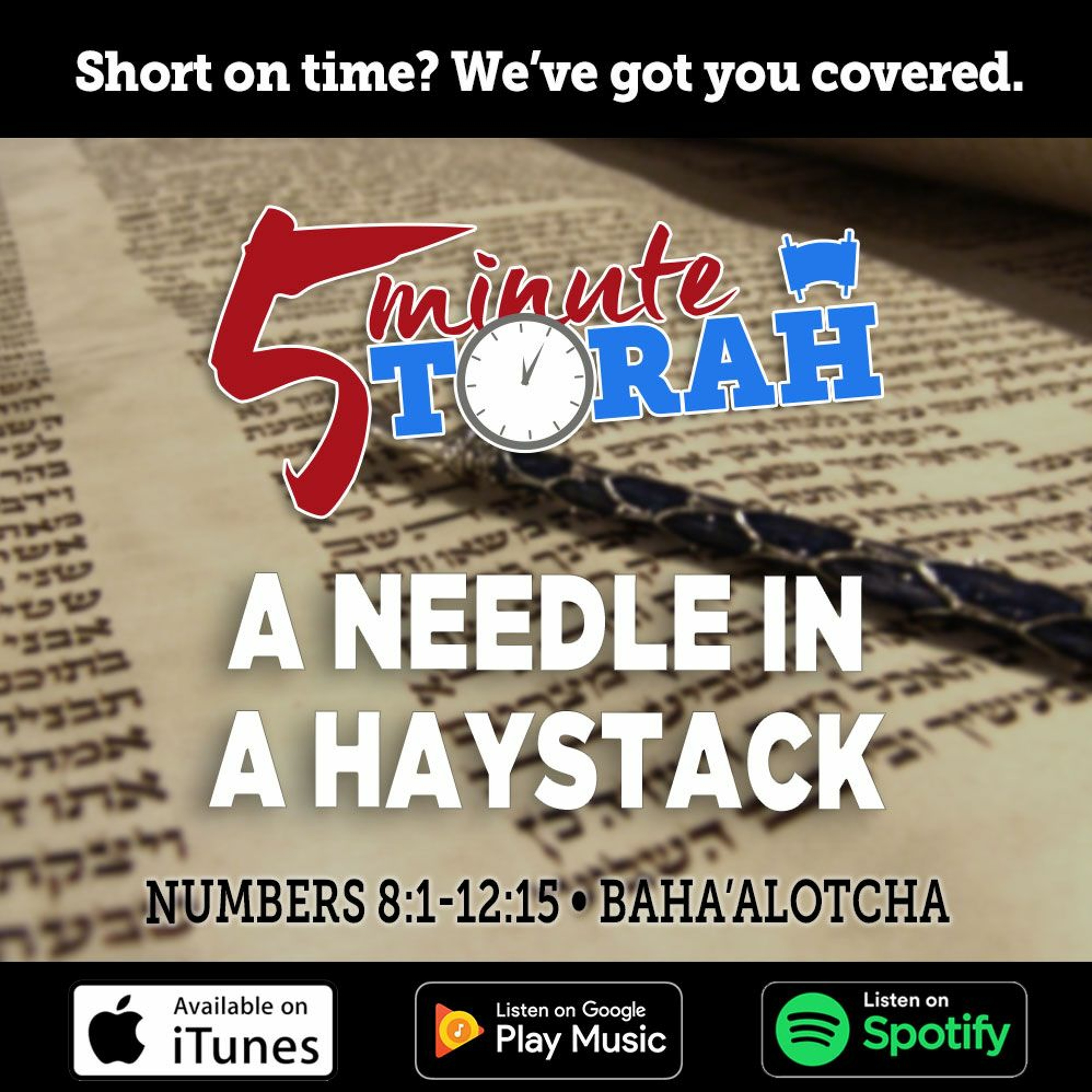 Baha'alotcha - A Needle In A Haystack