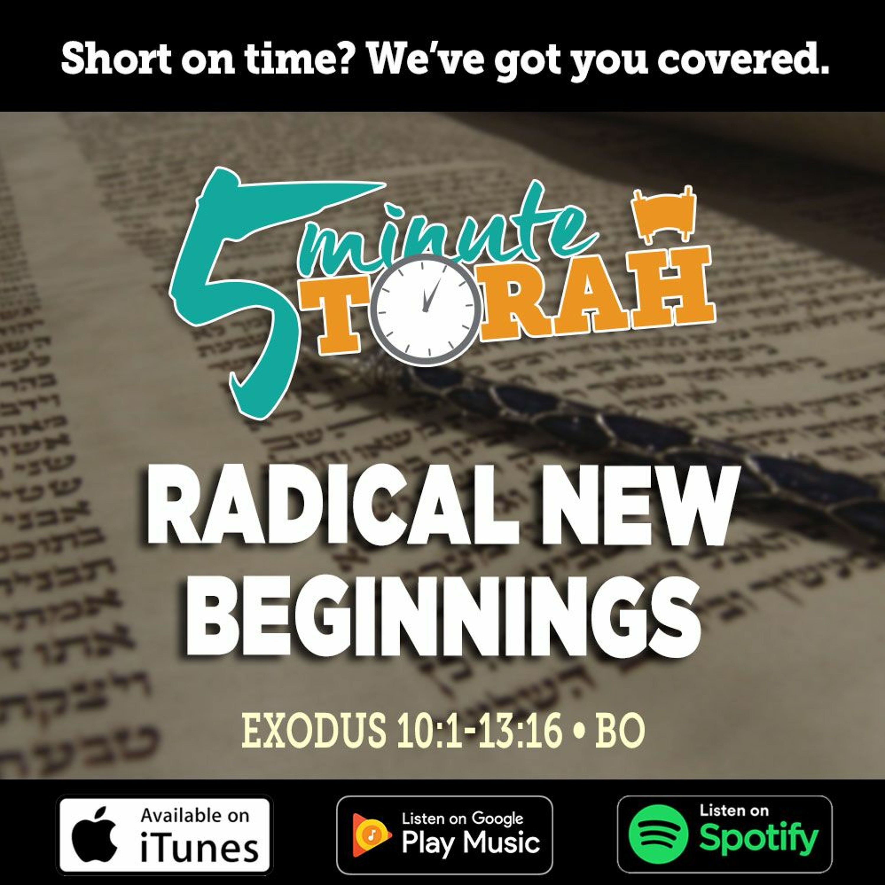 Parashat Bo - Radical New Beginnings