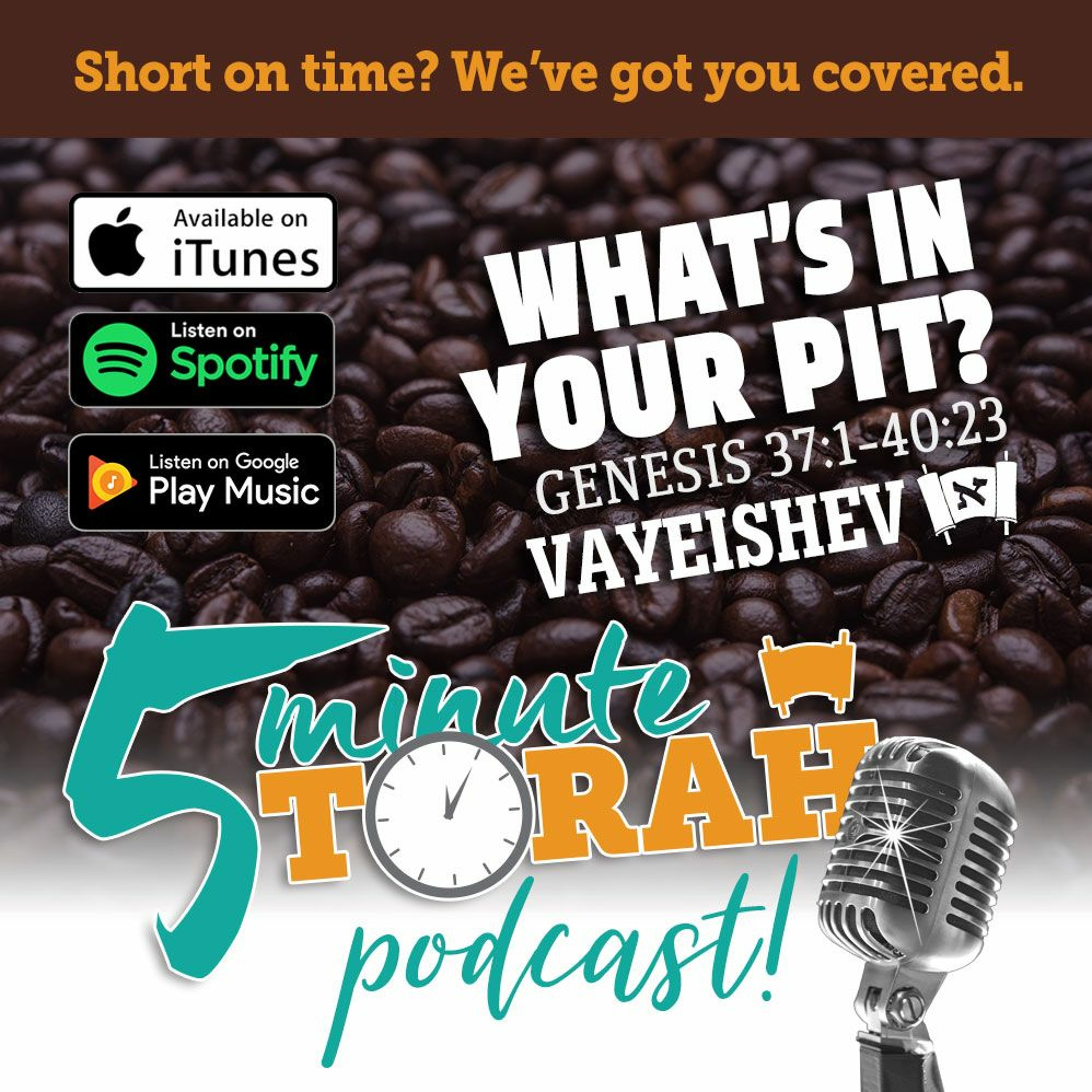 Parashat Vayeishev - What's In Your Pit?