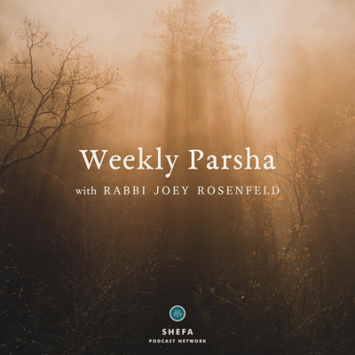 Weekly Parsha (Pekudei): The Hopeful Light of Shevet Dan