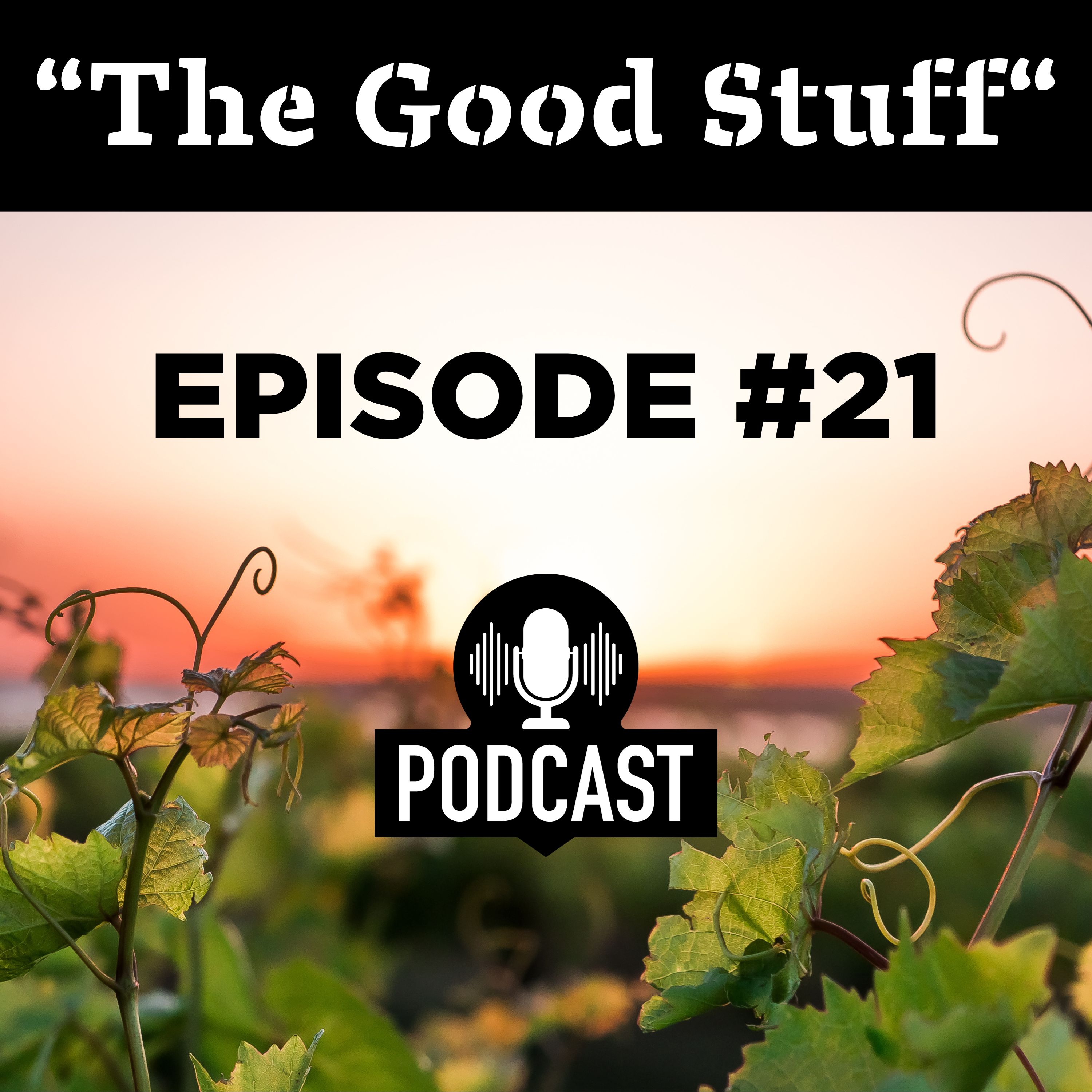 "The Good Stuff" - Episode 21: Storytellers Will Bucquoy And Bruce Le