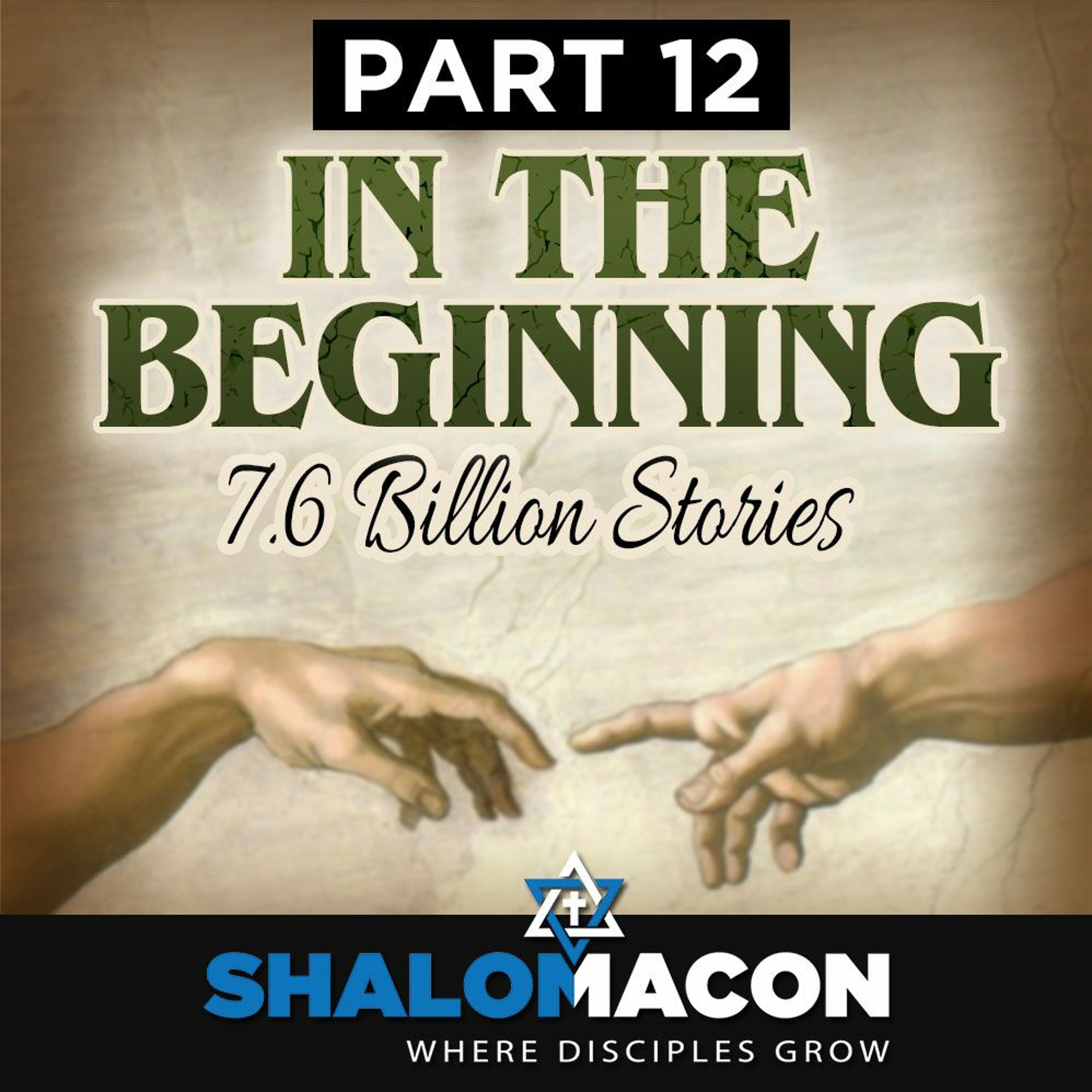 In The Beginning - Part 12: 7.6 Billion Stories