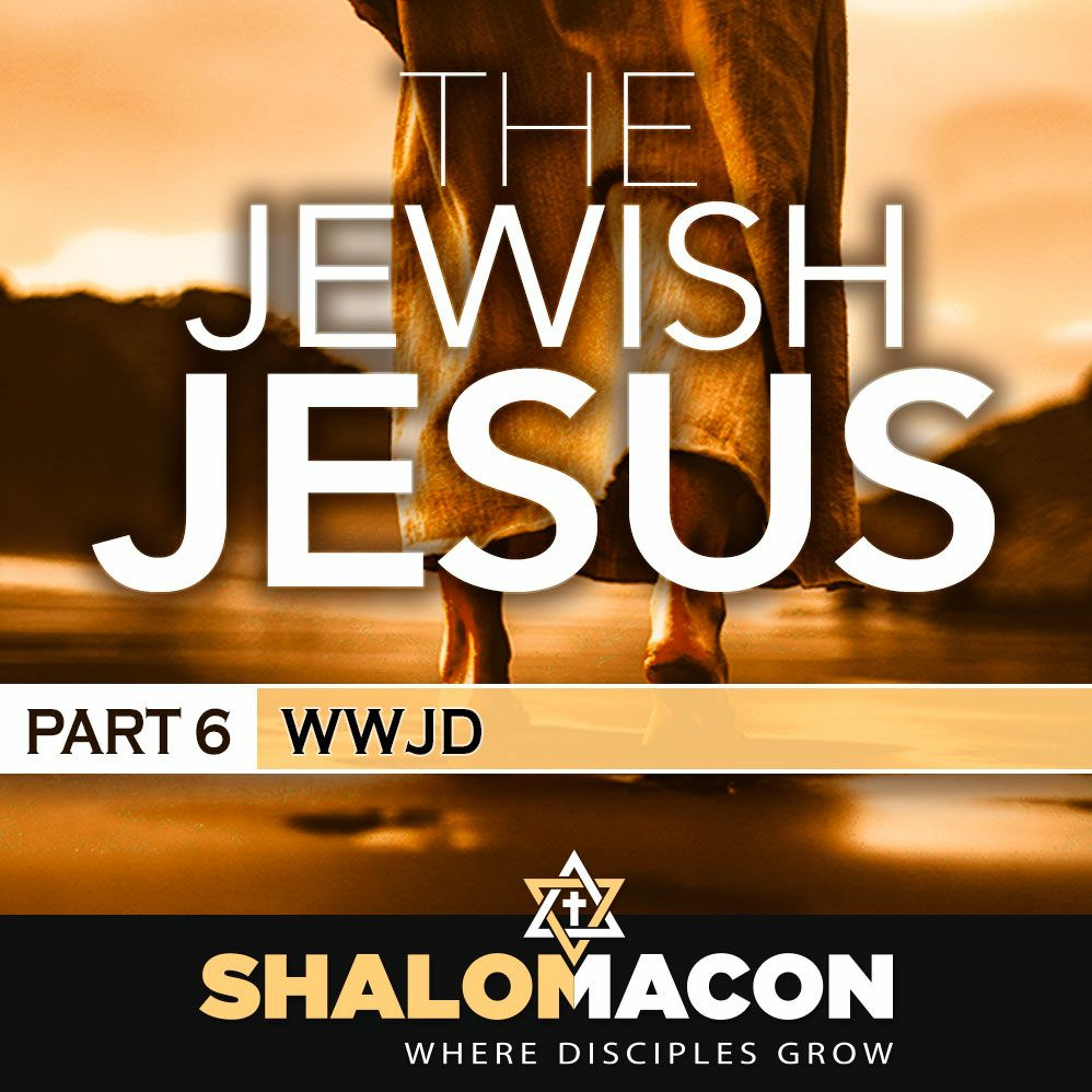 The Jewish Jesus - Part 6: WWJD