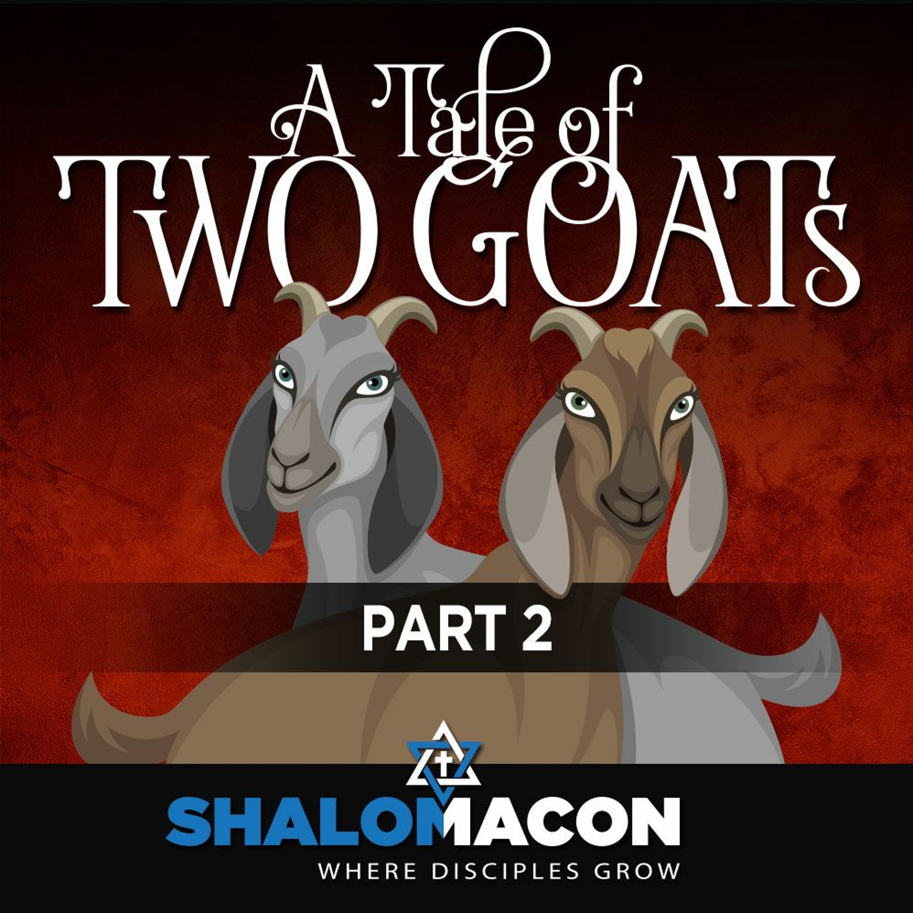 A Tale Of Two Goats - Part 2