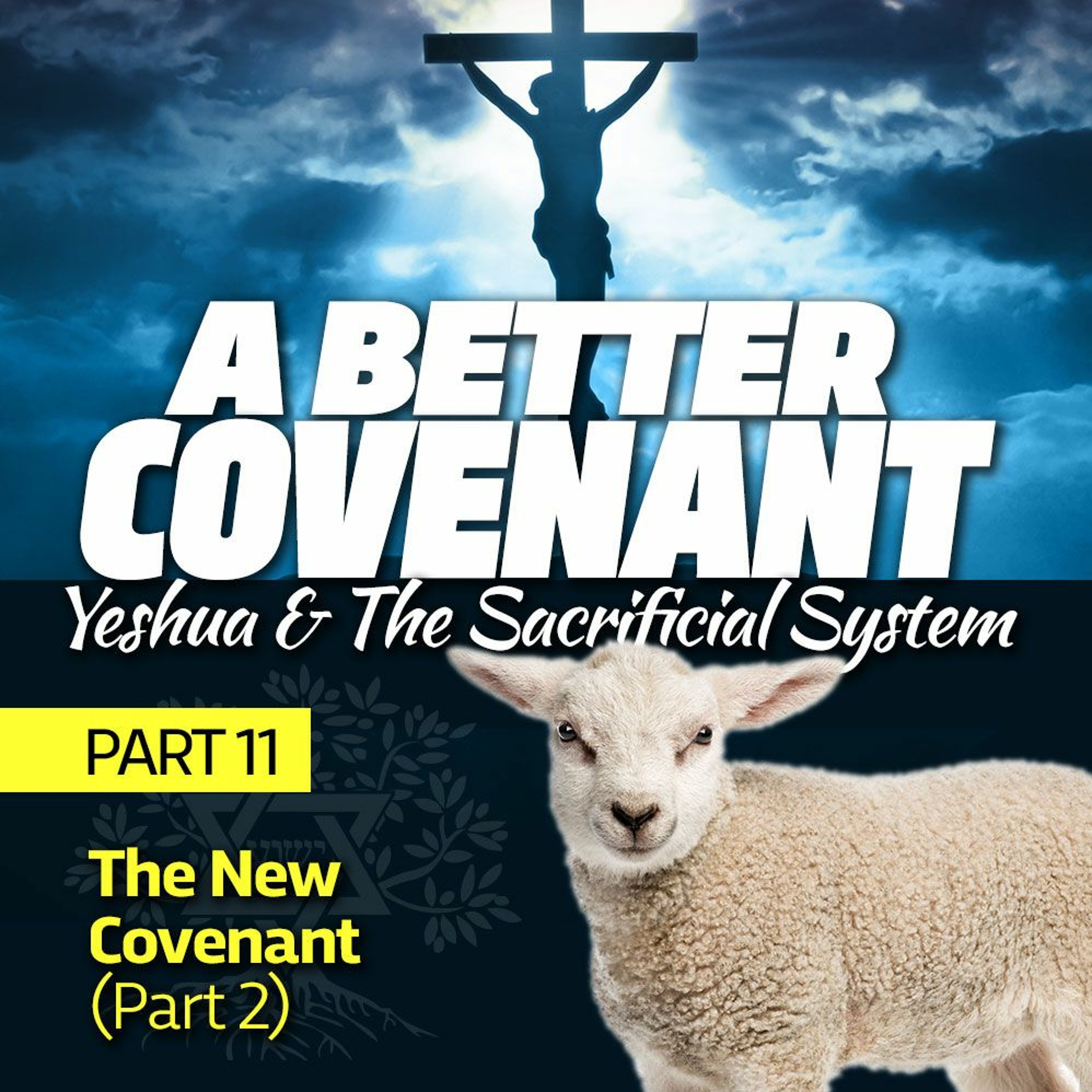 The New Covenant (Part 2)