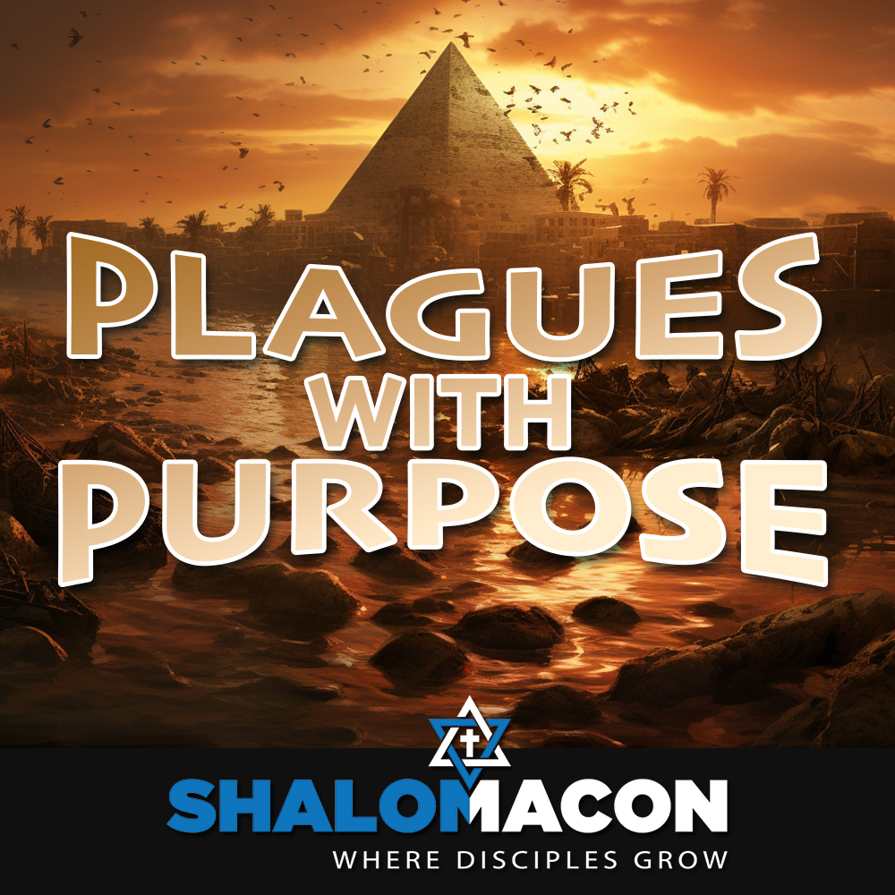Plagues With Purpose