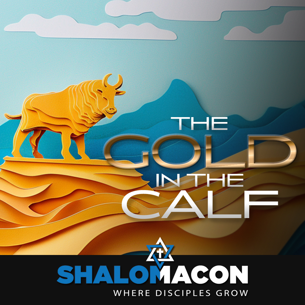 The Gold In The Cow | Parashat Ki Tisa