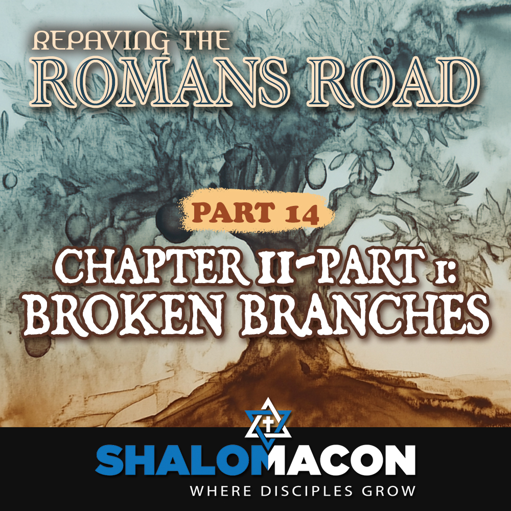 Part 14 — Repaving The Romans Road: Chapter 11, Part 1—Broken Branches