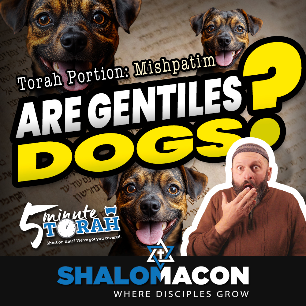 5 Minute Torah - Mishpatim - Are Gentiles Really Dogs?