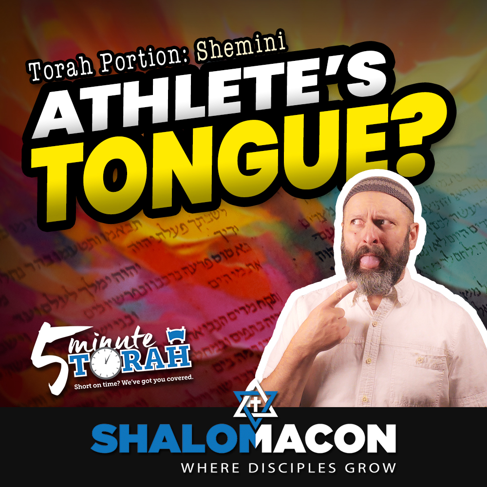 5 Minute Torah - Shemini - The Power of Silence