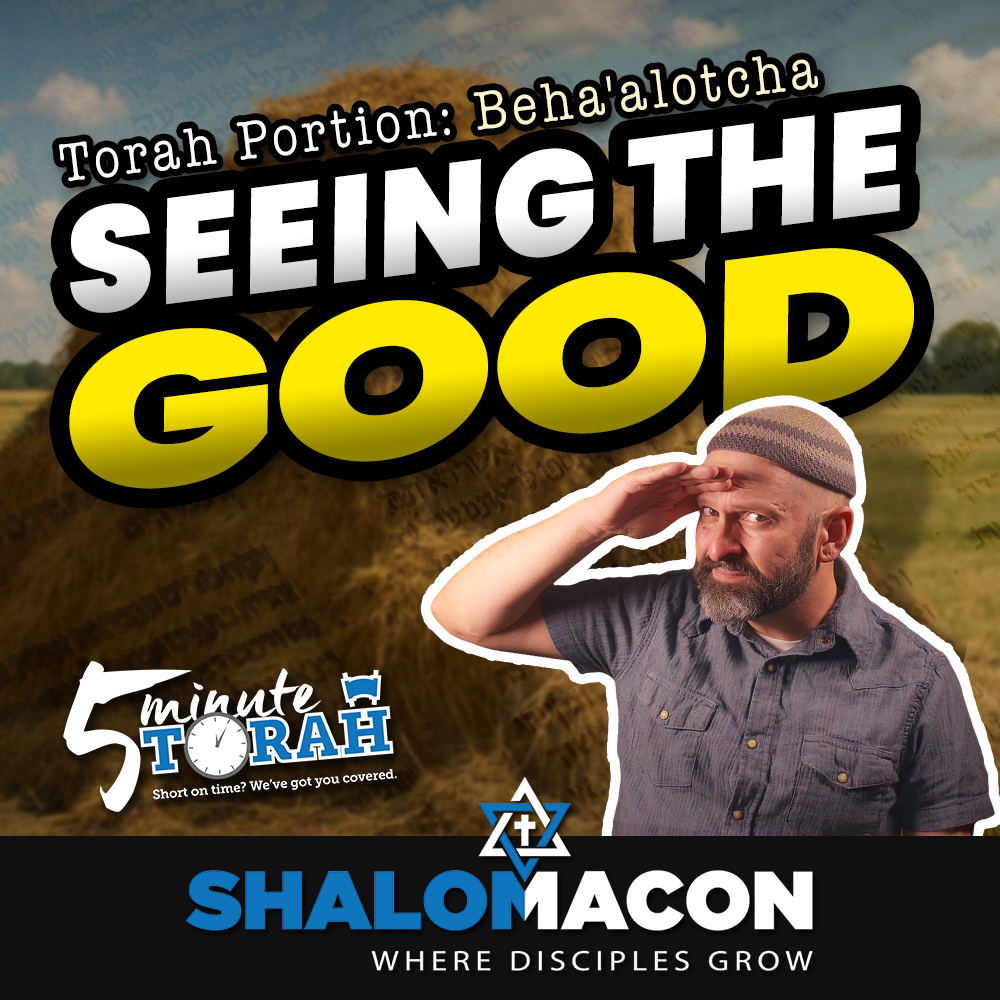 5 Minute Torah - Beha'alotcha - Seeing The Good