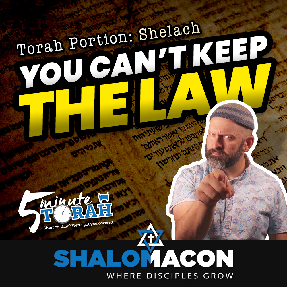 5 Minute Torah - Shelach - Guilty of One. Guilty of All?
