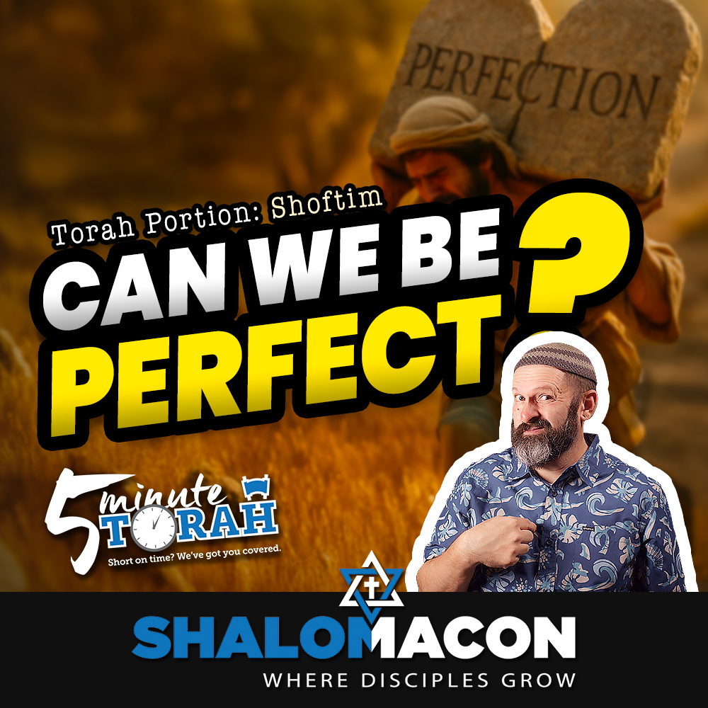 5 Minute Torah - Shoftim - Age of the Antihero