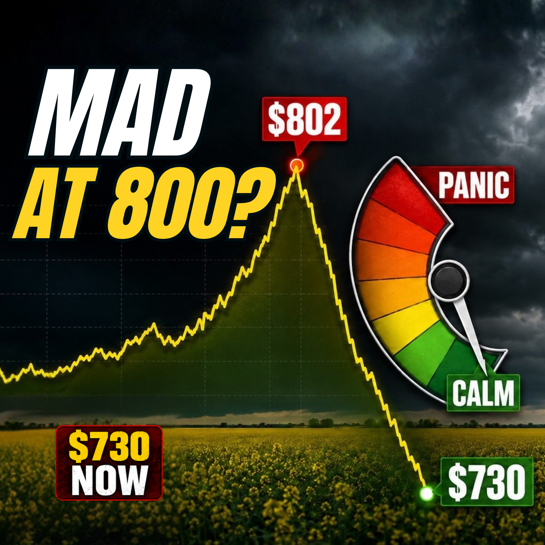 The $800 Canola Mistake Farmers Keep Making