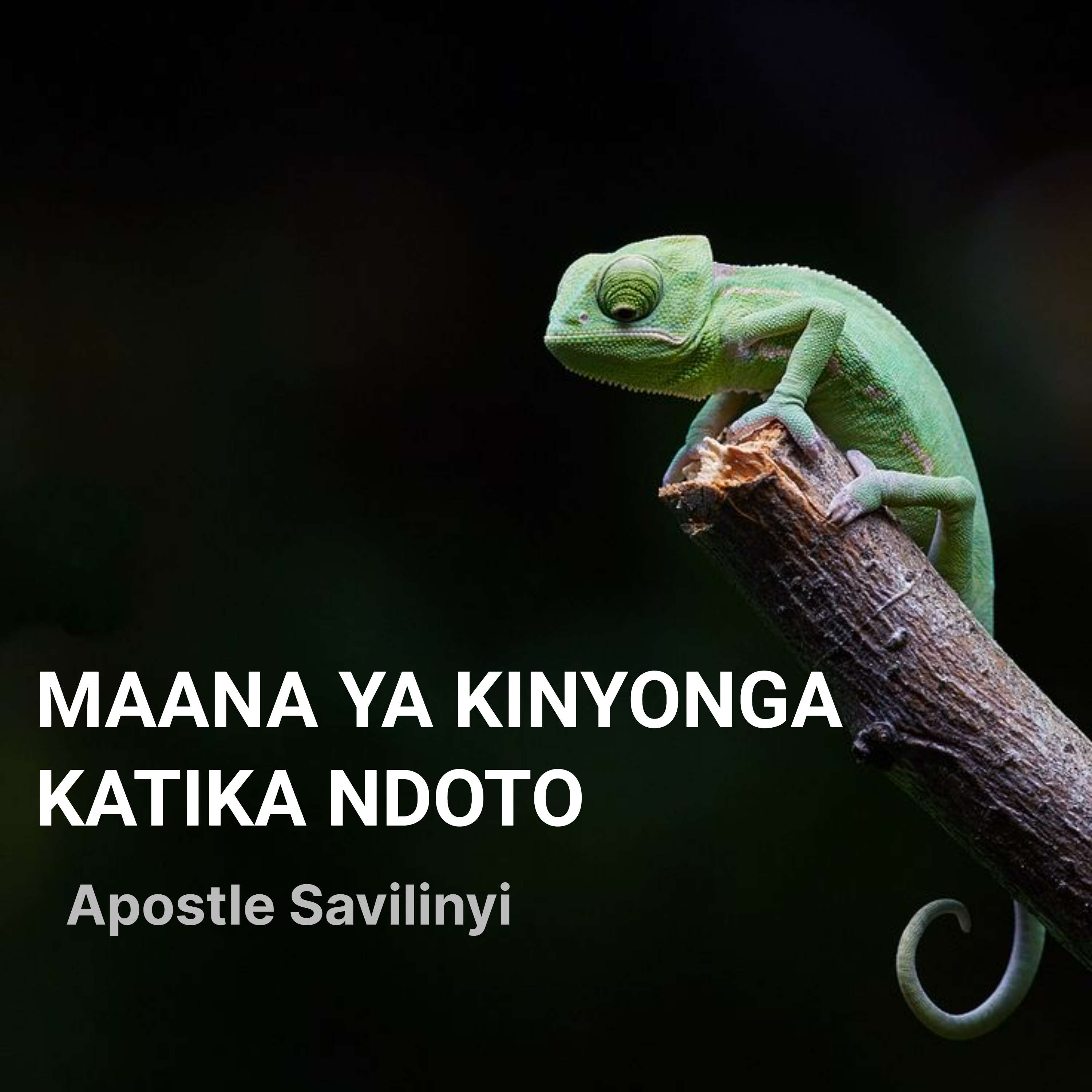 MAANA YA KINYONGA KATIKA NDOTO // APOSTLE SAVILINYI