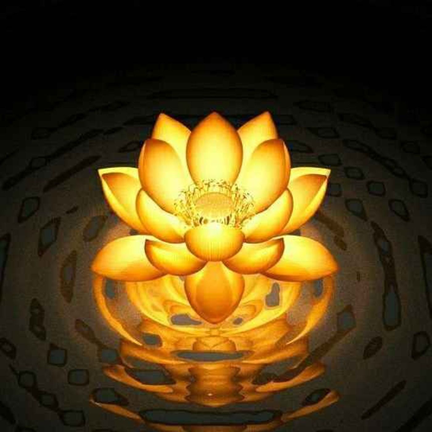 Divine Harmony