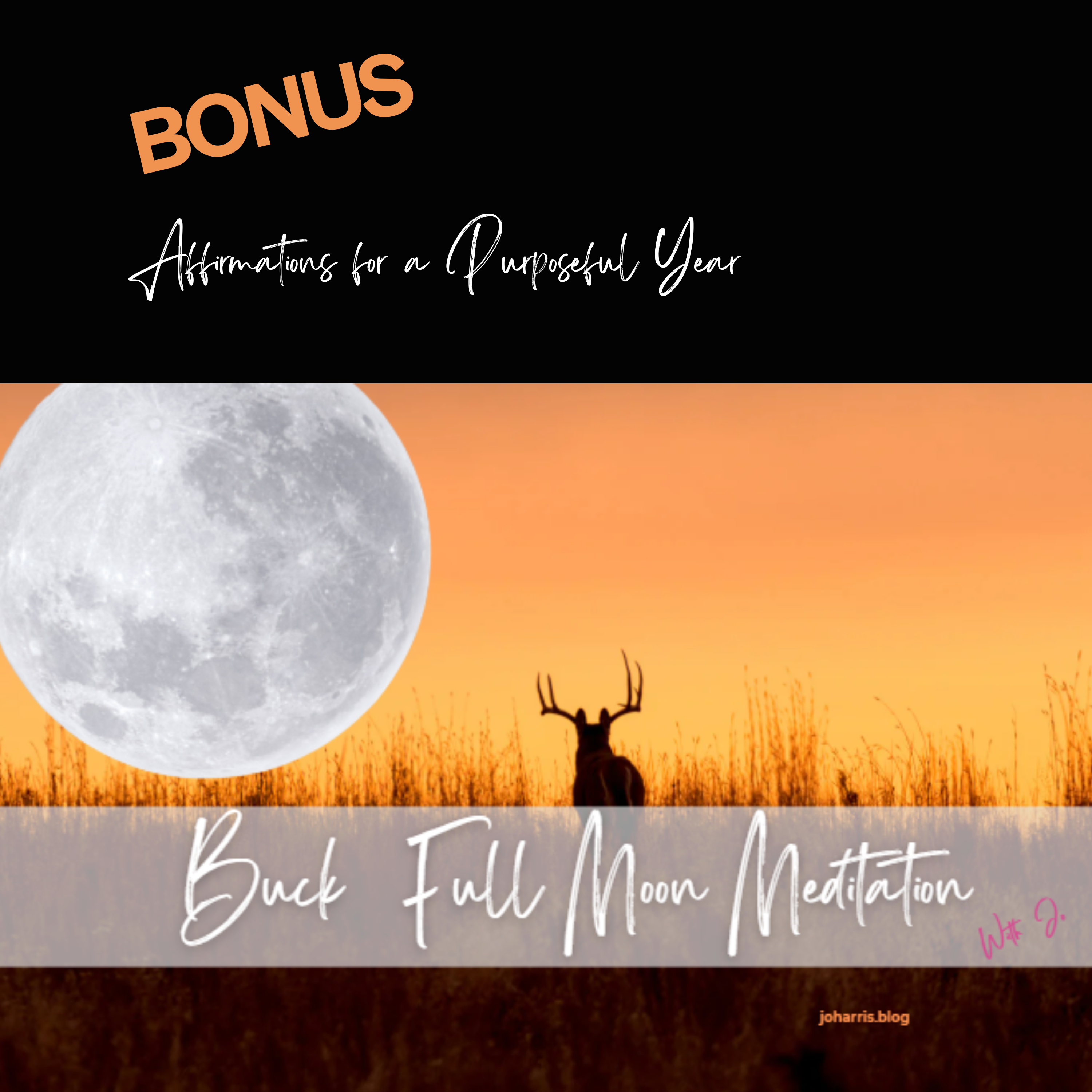 BONUS A Buck Full Moon Affirmation Meditation