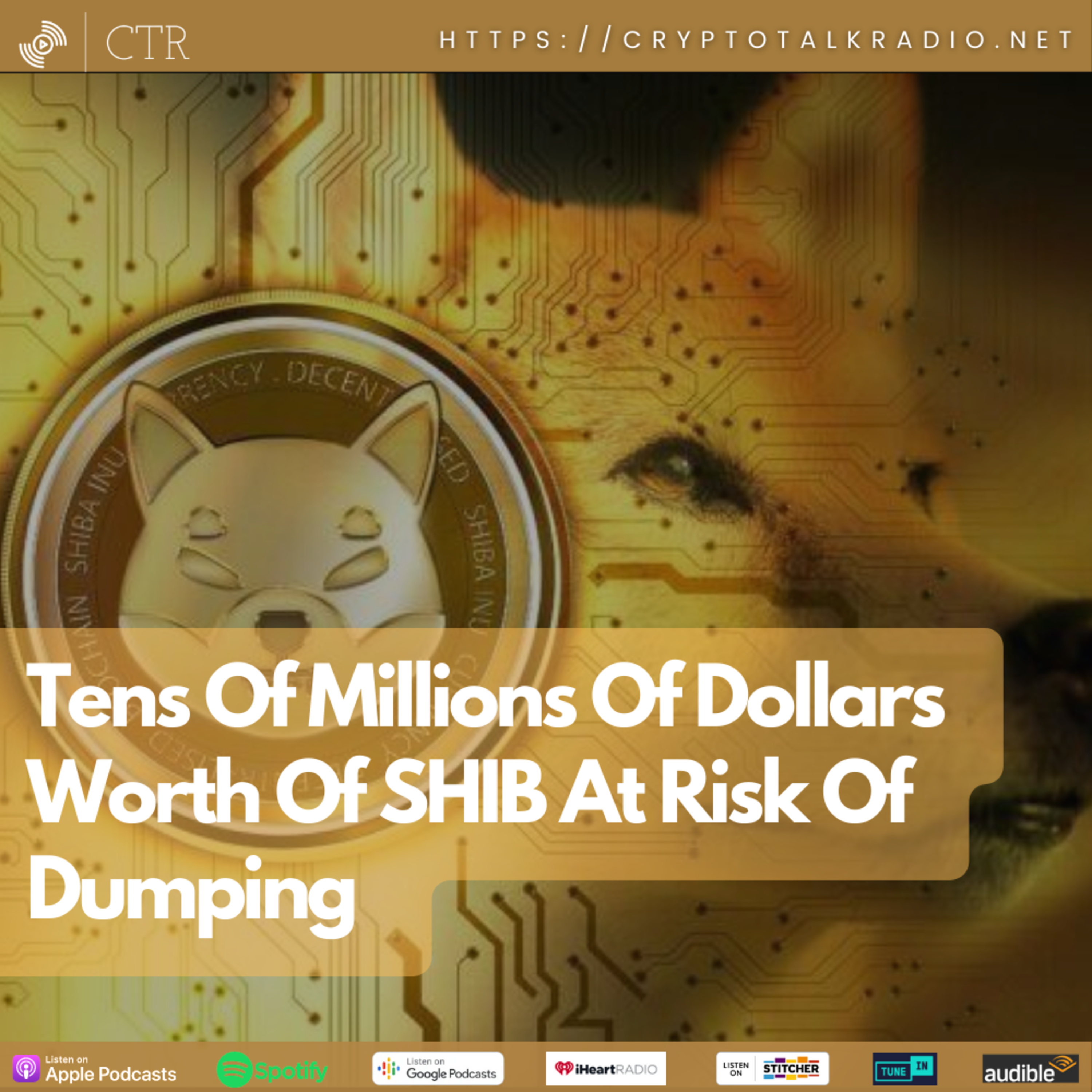 Tens Of Millions Of Dollars Worth Of #SHIB At Risk Of Dumping