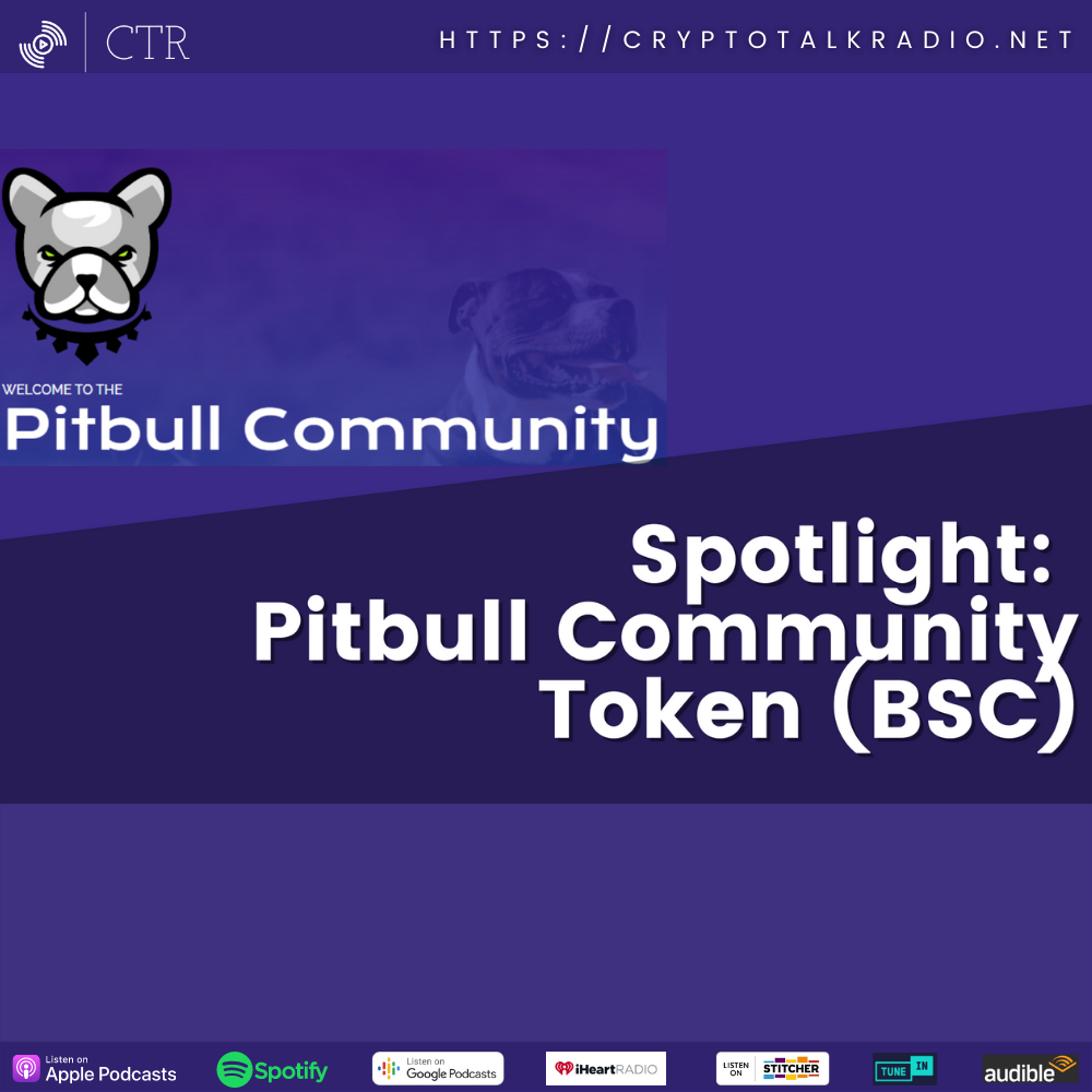 Our Bitcoin $50k Prediction Still On Track, Axie Infinity Wallets Hacked For $600M, And We Cover The Pitbull Token (BSC)