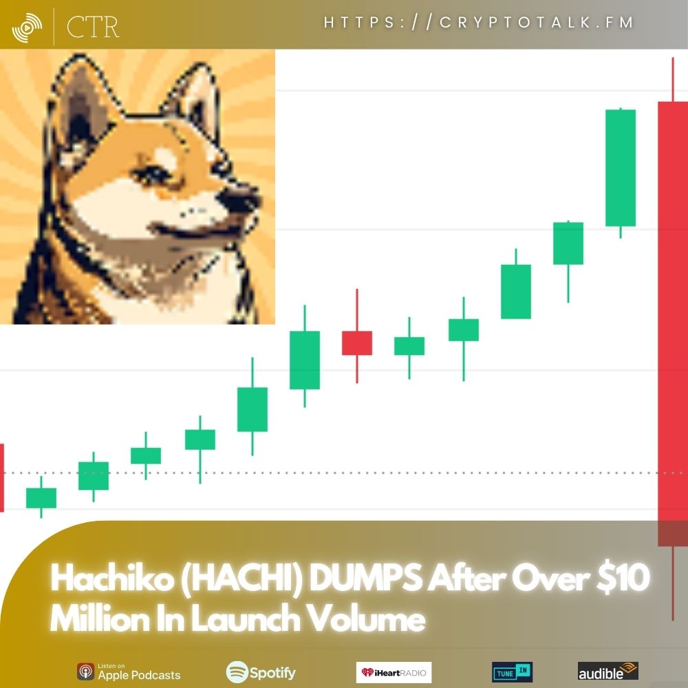 #Hachiko ($HACHI) DUMPS After Over $10 Million In Launch Volume (OOC)