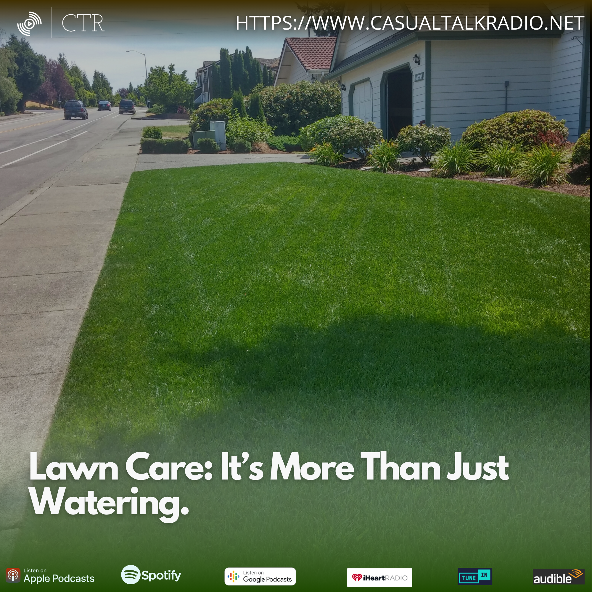 Lawn Care: It’s More Than Just Watering.