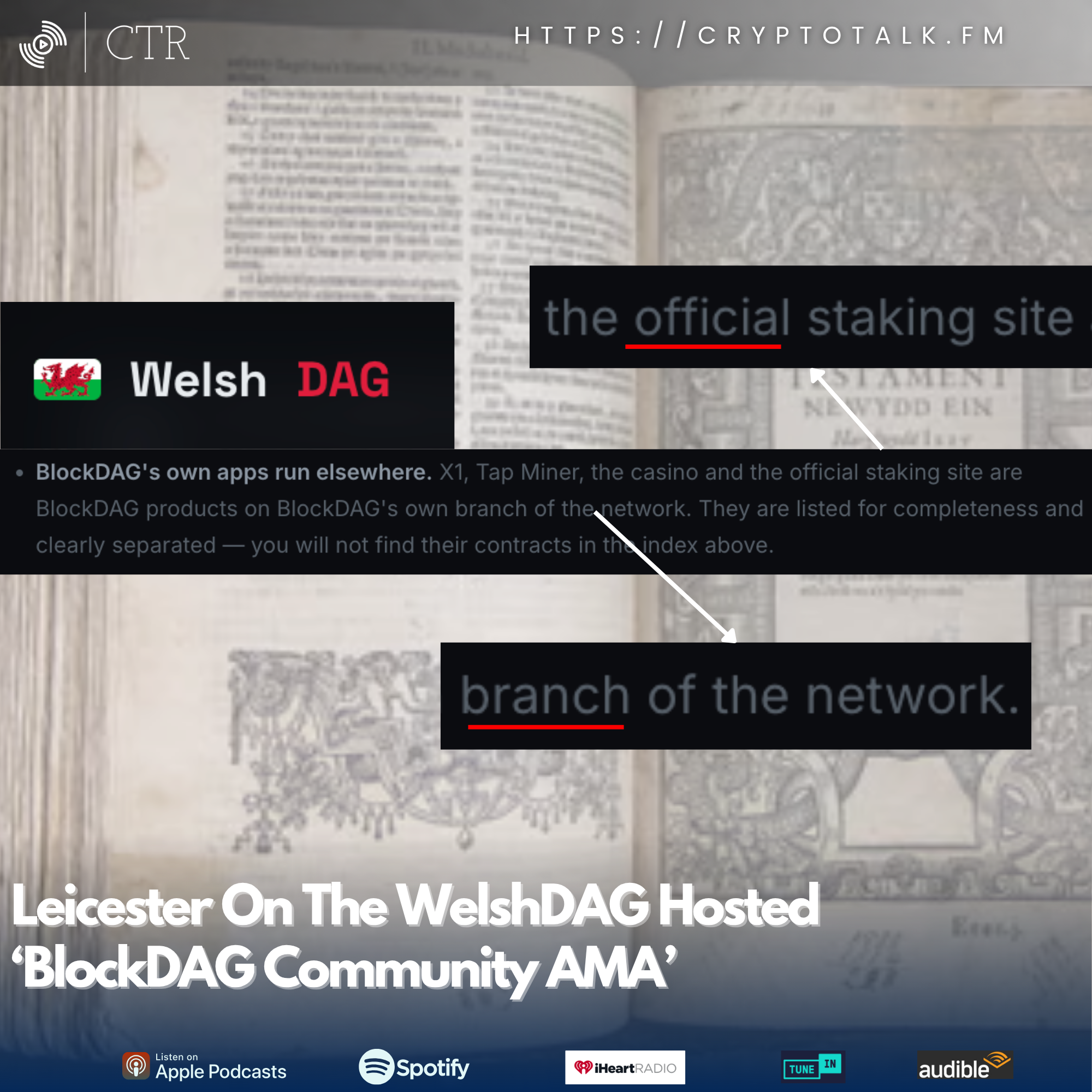 Leicester On The WelshDAG Hosted ‘#BlockDAG Community AMA 2’ (OOC) [COLORFUL LANGUAGE]