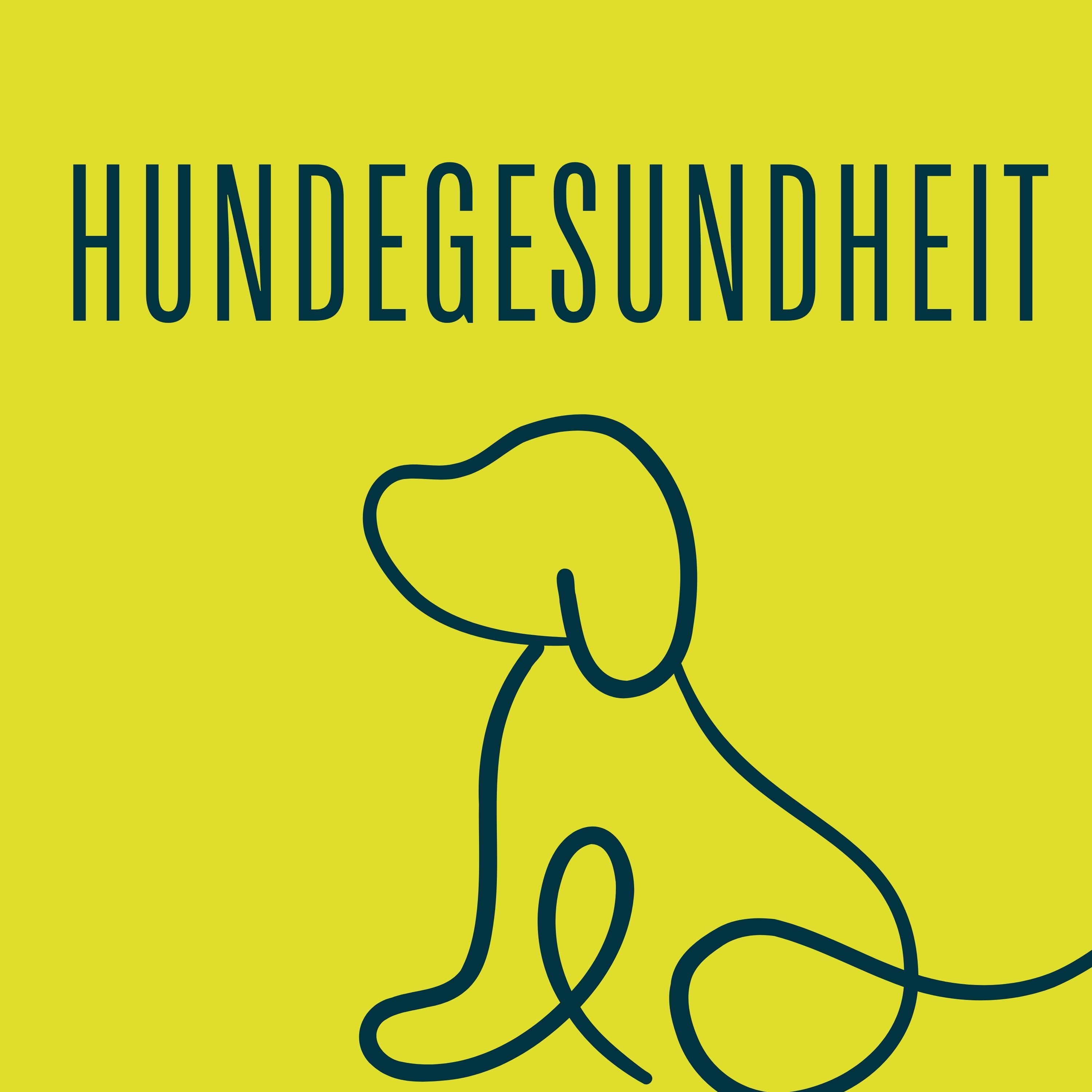 Fit und Vital: Hundegesundheit