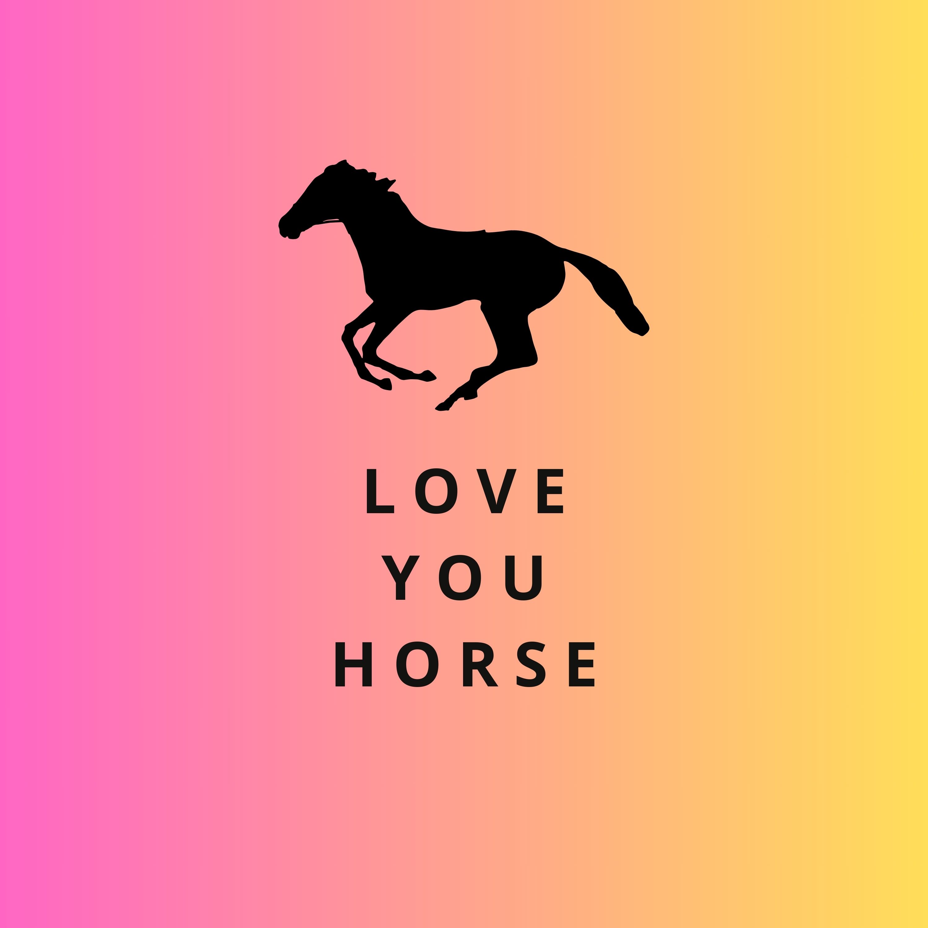 LYH - Tales of the Horse World