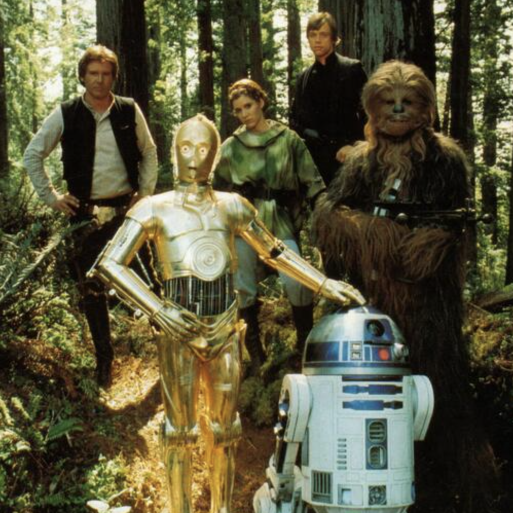 Calling all Humanoids, Wookies and Ewoks: The Forest Moon Festival Returns