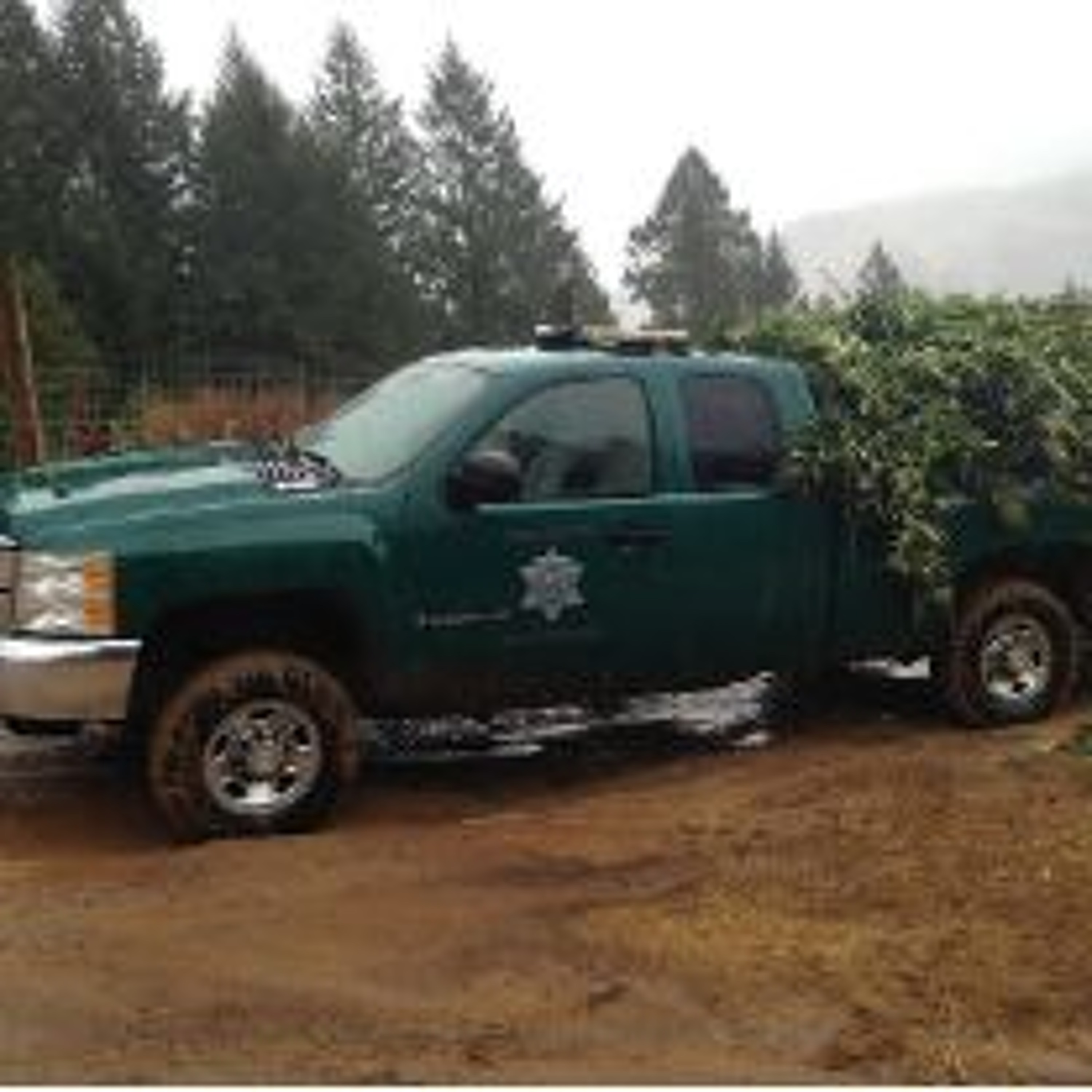 HCSO Assists CDFW Marijuana Enforcement Operation Near Garberville