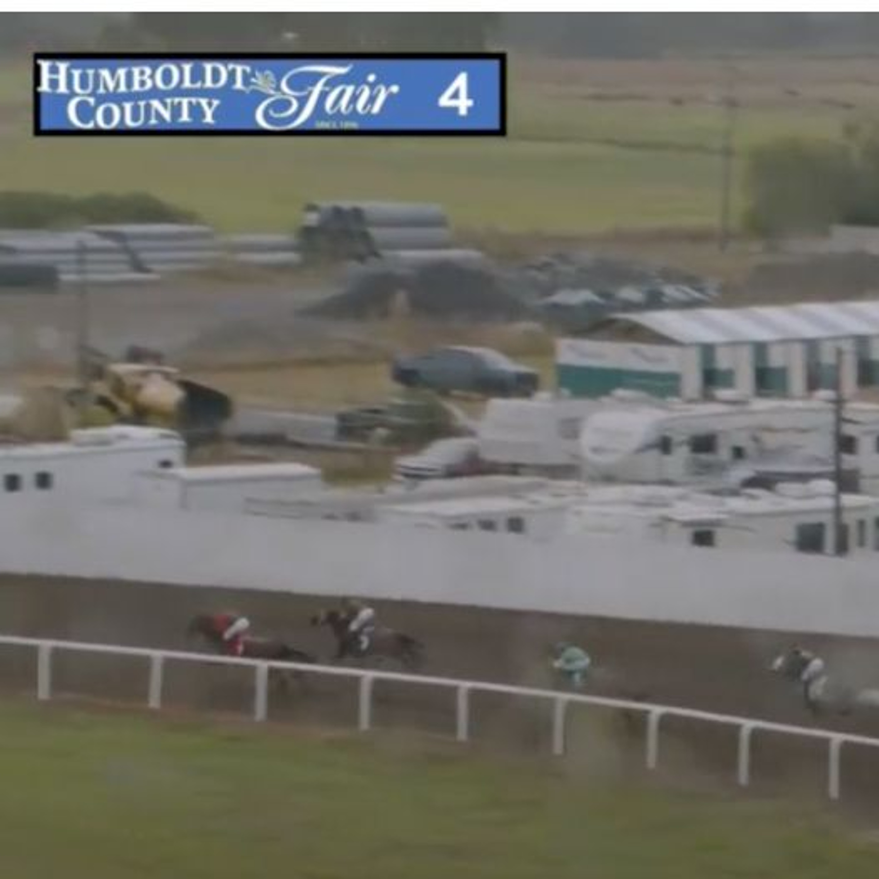 Two Horses Euthanized at Humboldt County Fair, 2024 One of the Deadliest Years for Local Racing.
