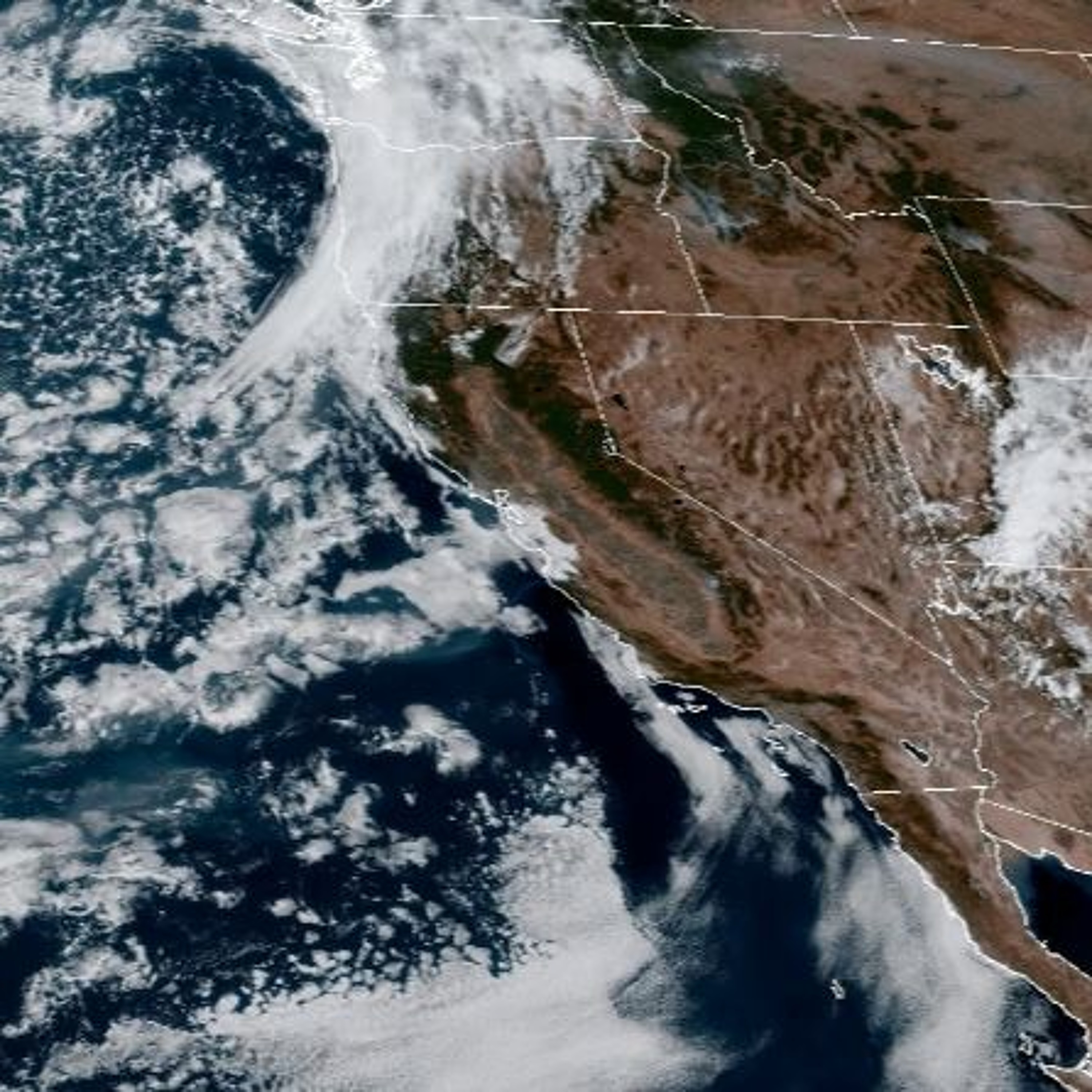 Rain & Possible Thunderstorms in the Forecast