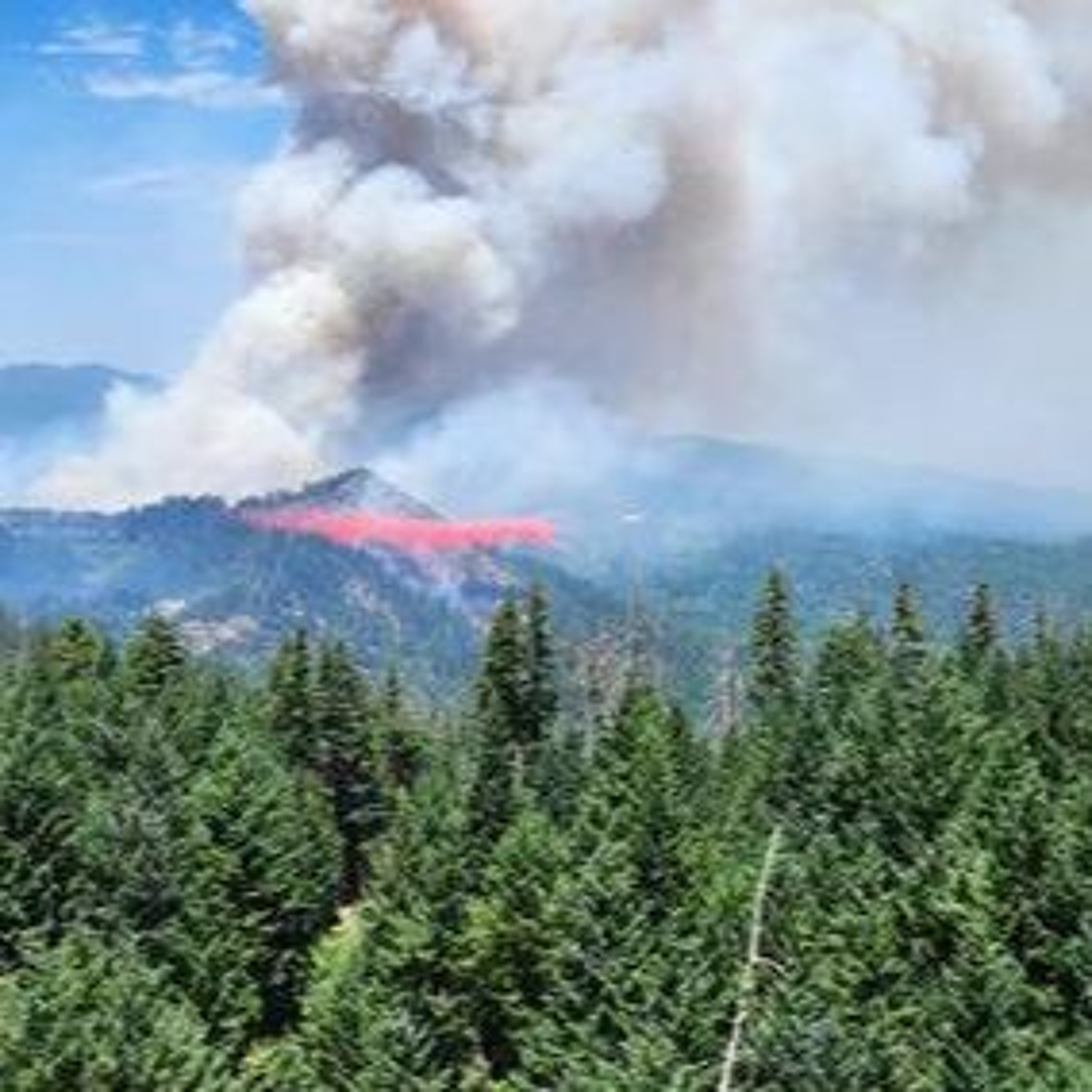 “Erratic Behavior” Triggers Evacuation Warnings in Western Trinity County