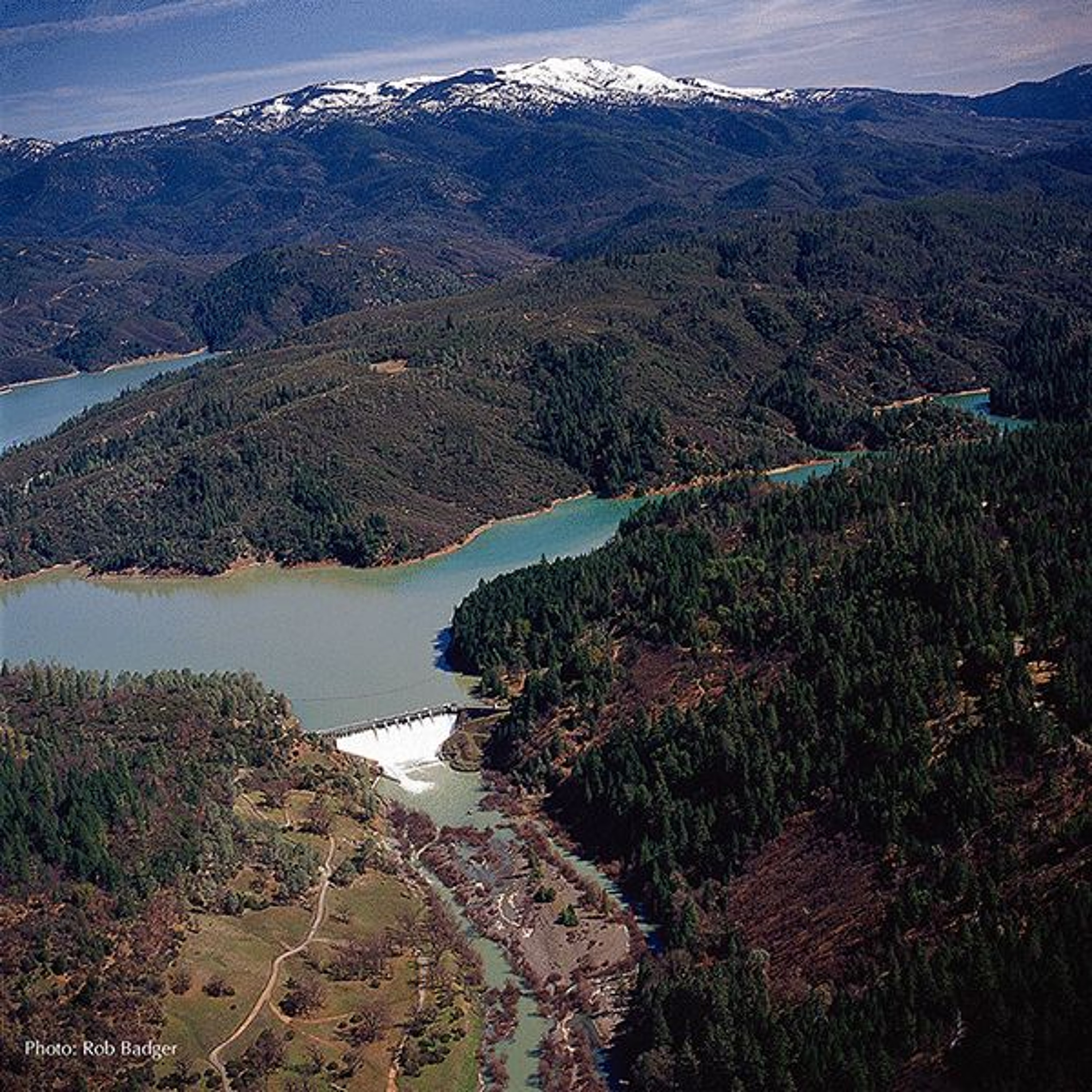 PG&E Delays Eel River Dam Removal, Sparking Concerns for Salmonid Species