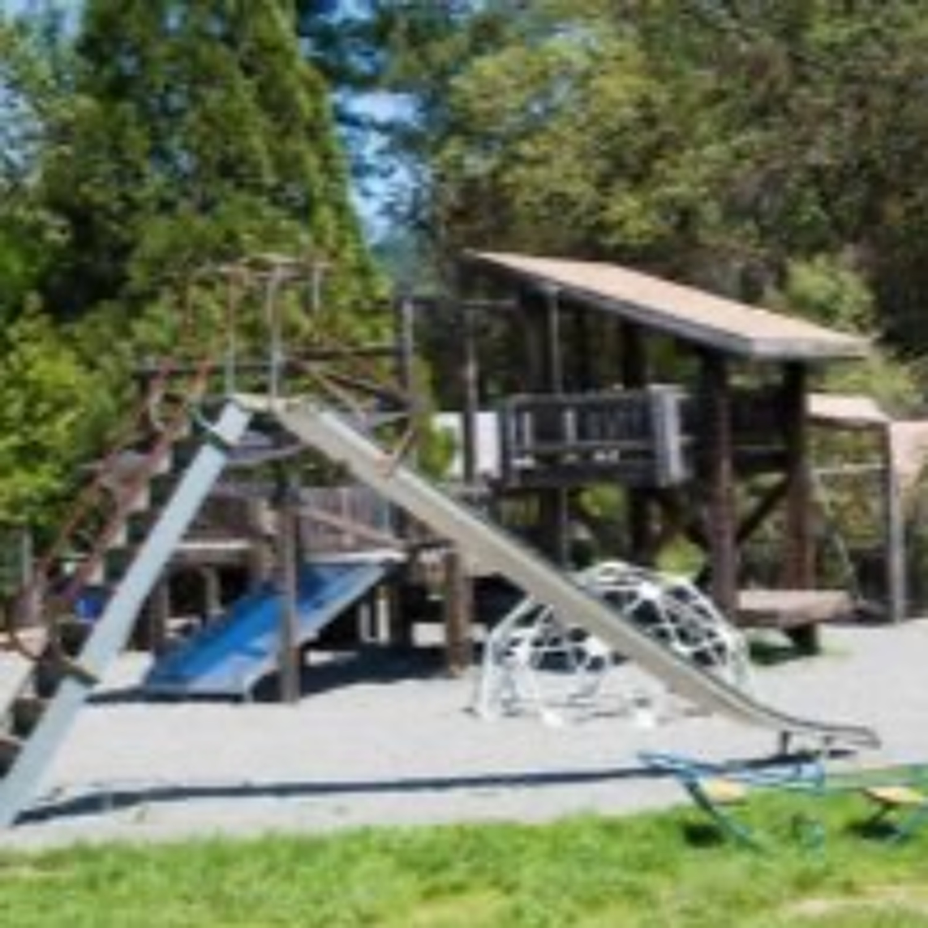 Beginnings Celebrates 50 Years of Education and Community