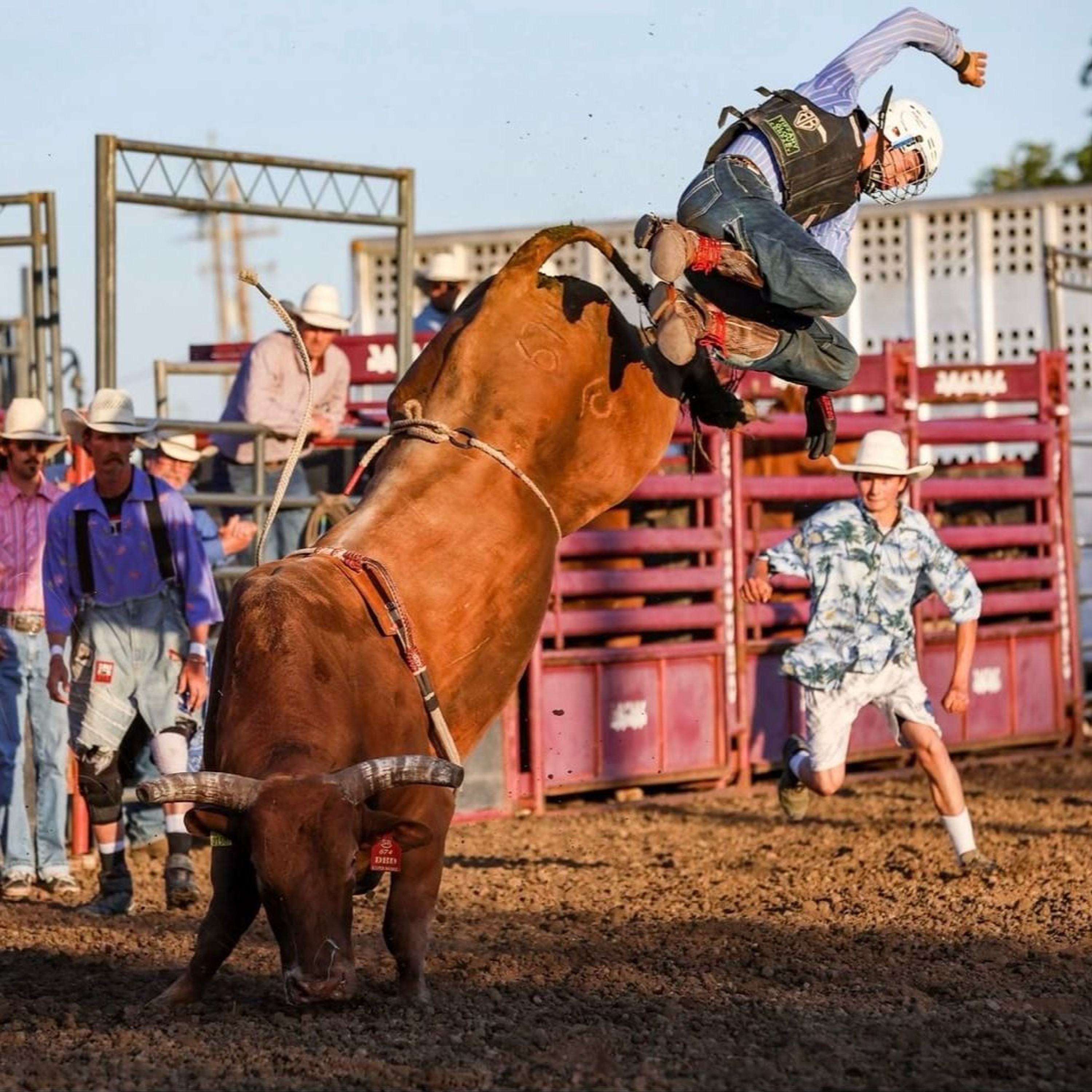 RCoastal Cowboy Coronation: Rodeo Queen and Princess Candidates Shine